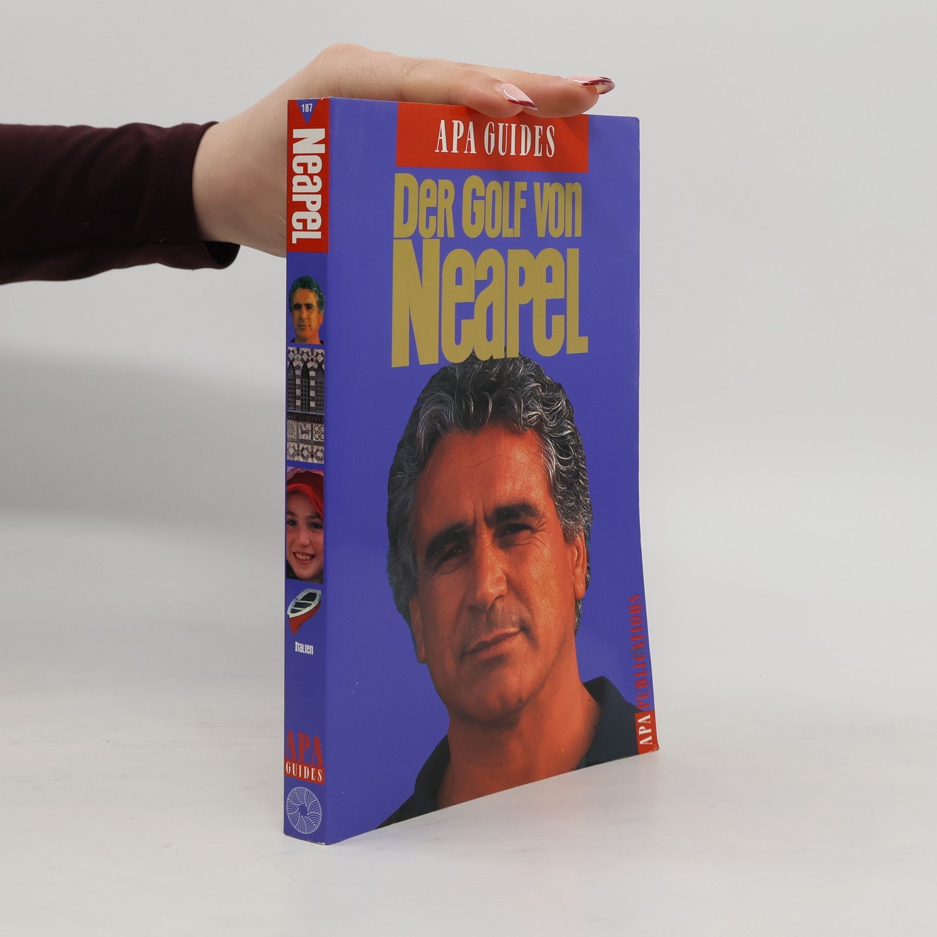 Vincenzo Delle Donne Der Golf von Neapel