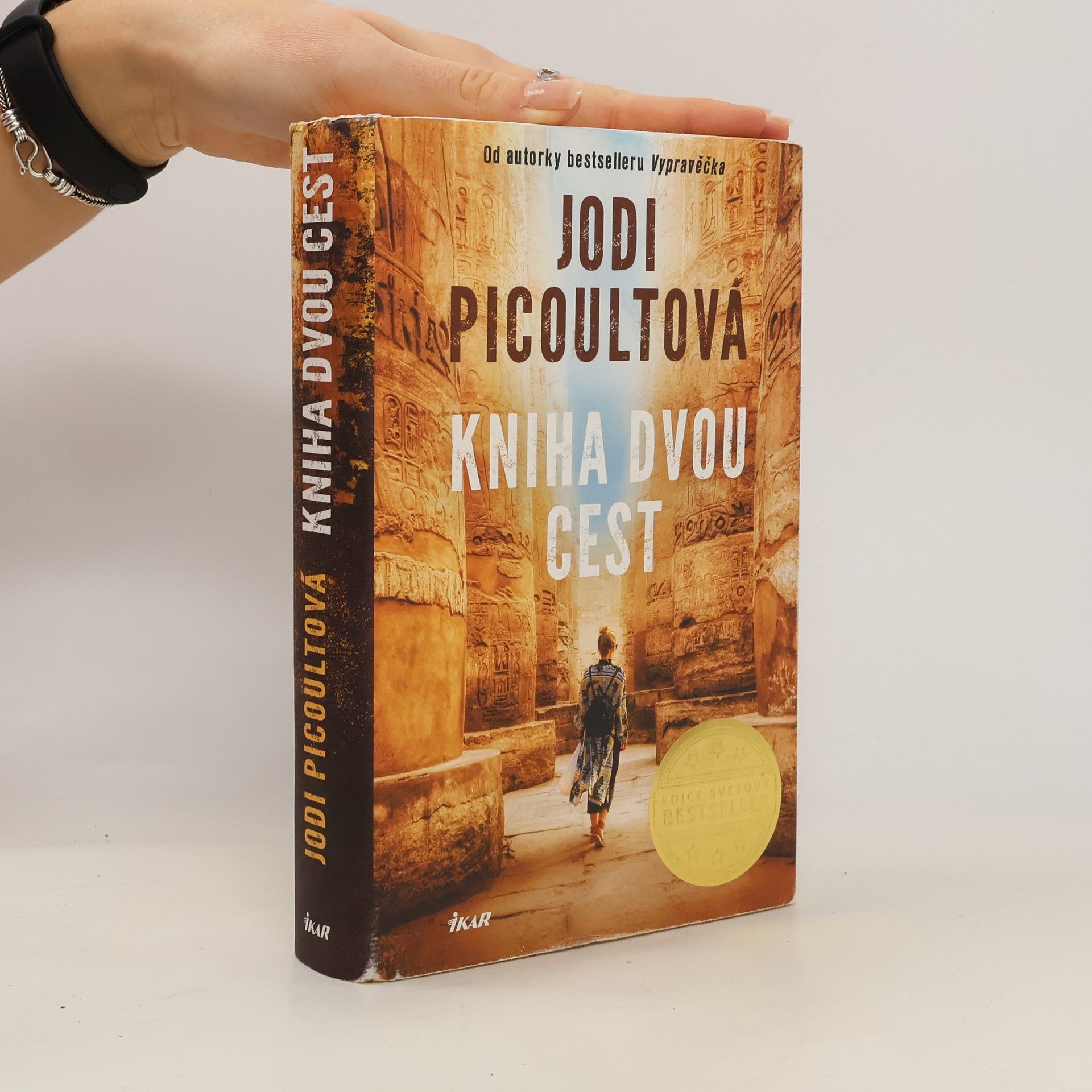 Jodi Picoult Kniha dvou cest