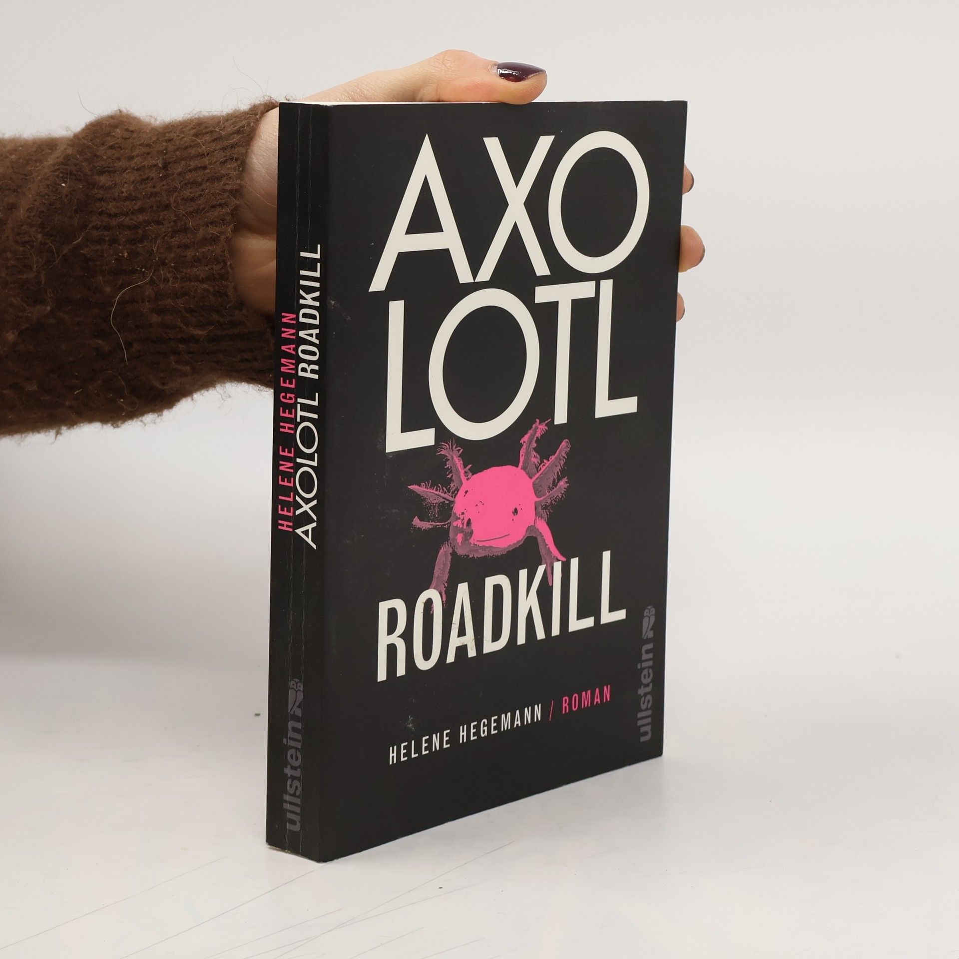 Helene Hegemann Axolotl Roadkill : Roman