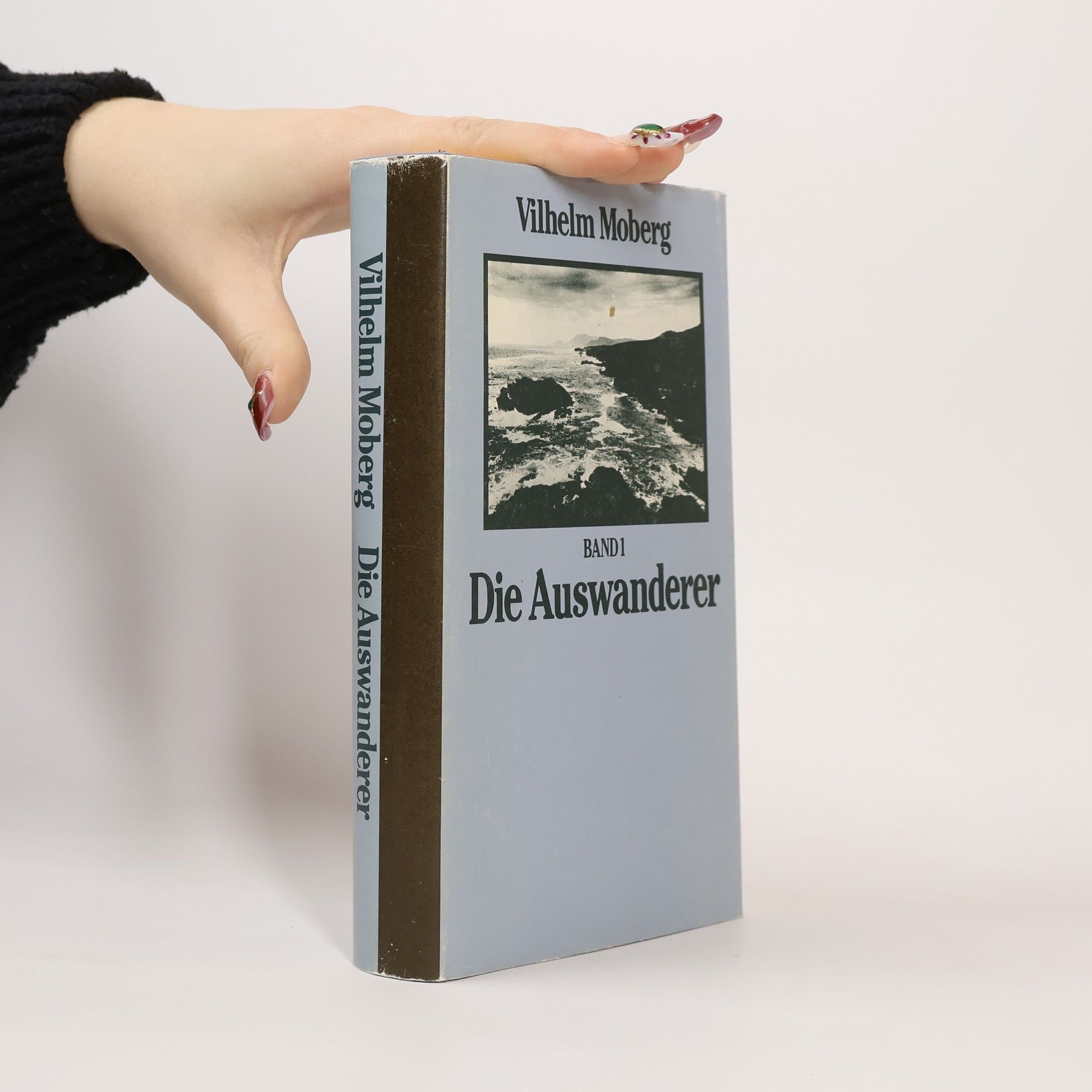 In der Neuen Welt. Band 2