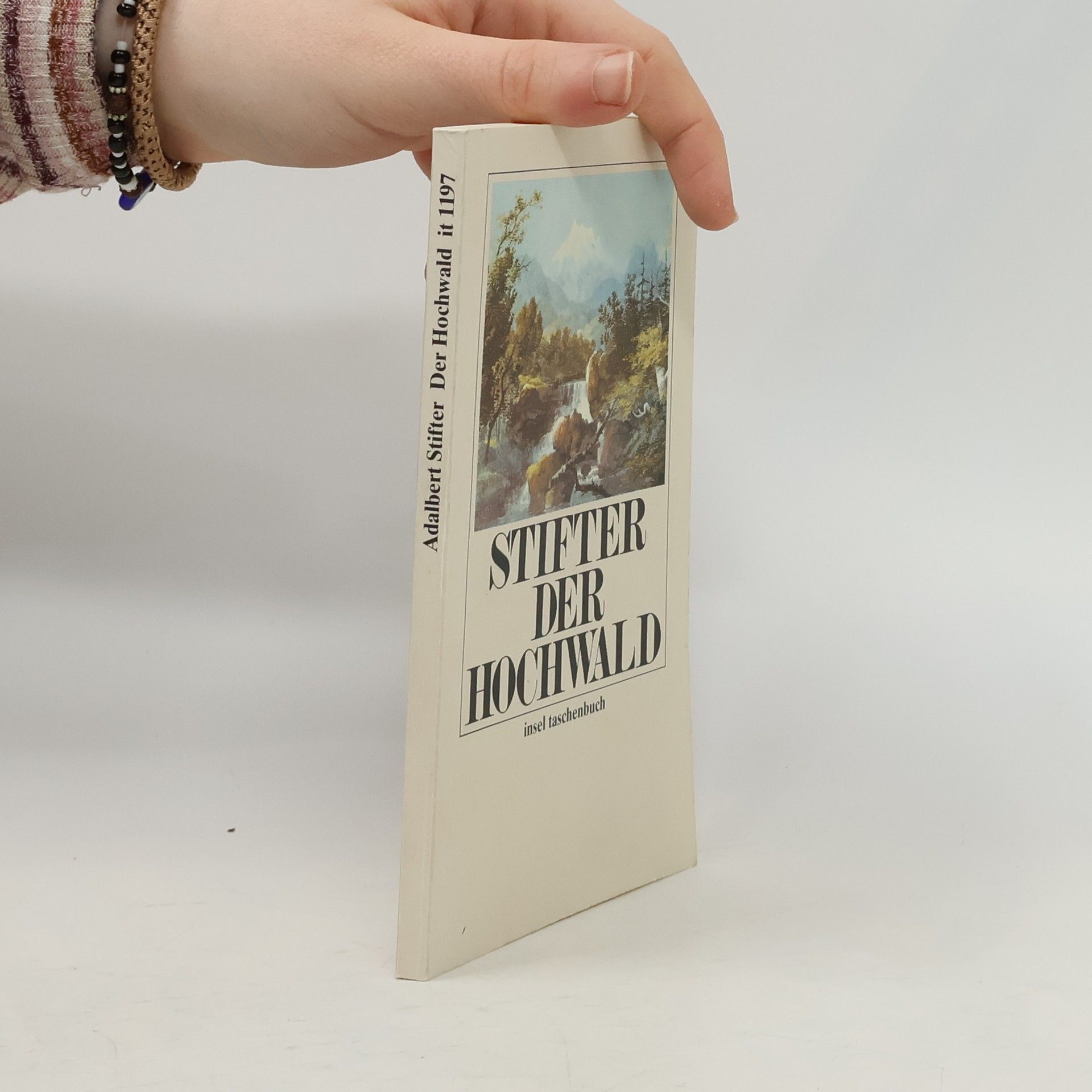 Adalbert Stifter Der Hochwald