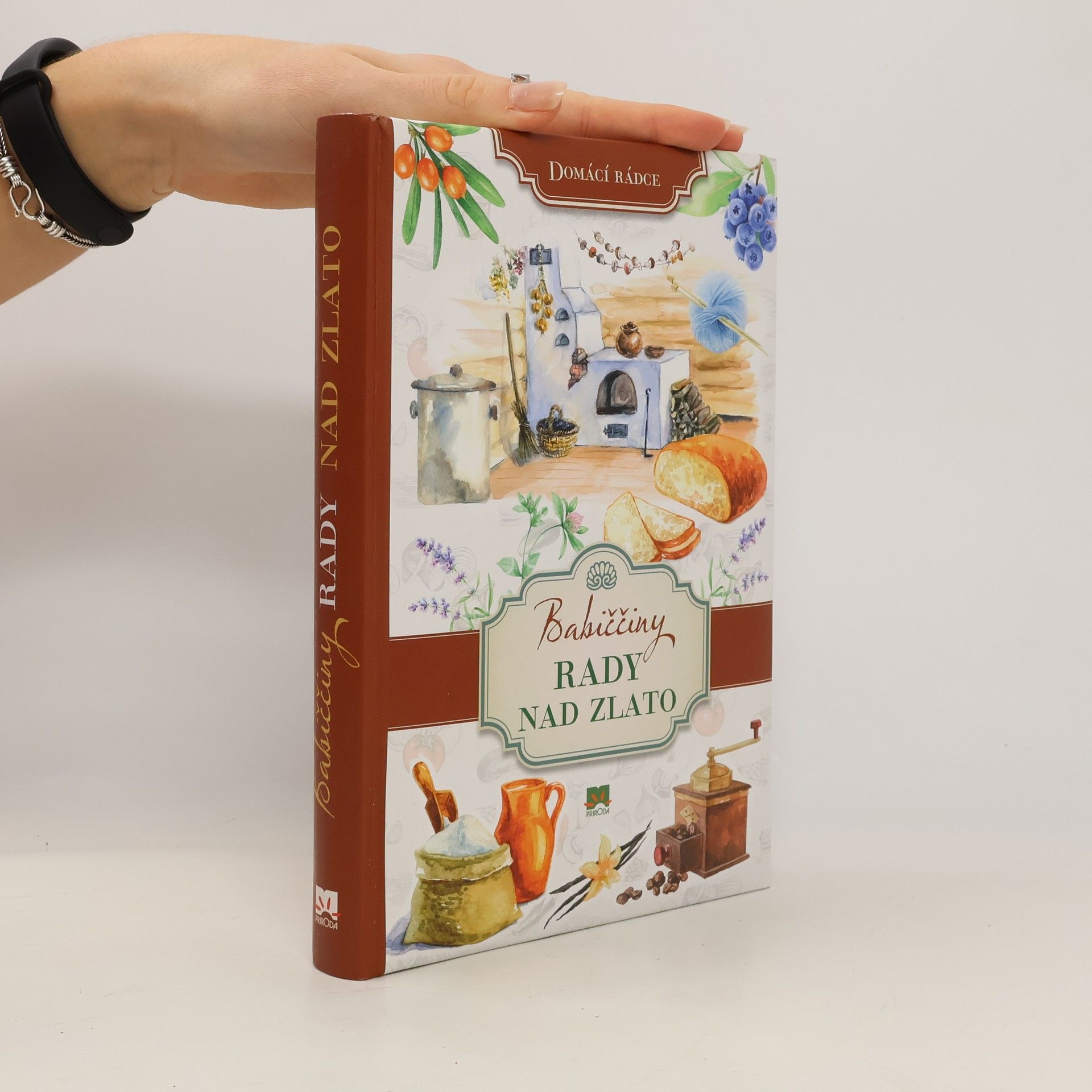 Collectif d'auteurs Babiččiny rady nad zlato