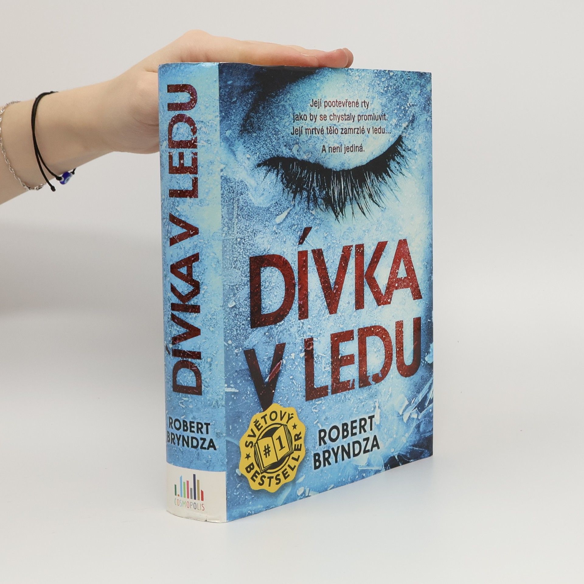 Robert Bryndza Dívka v ledu