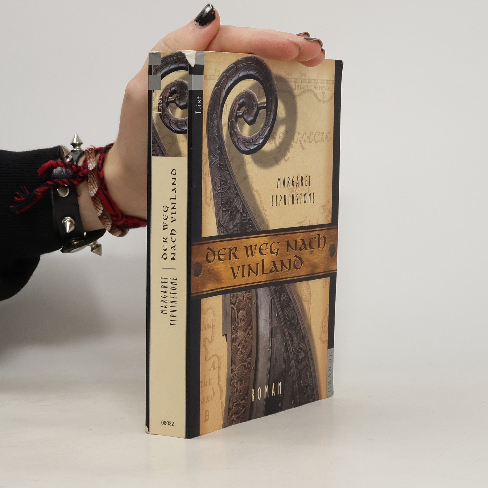 Margaret Elphinstone Der Weg nach Vinland