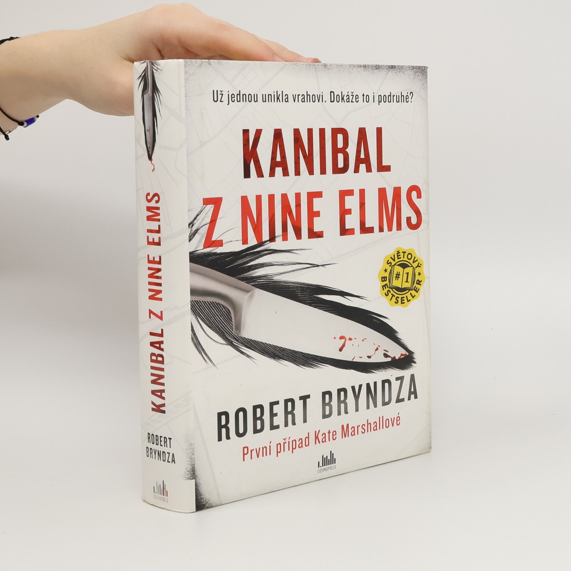 Robert Bryndza Kanibal z Nine Elms