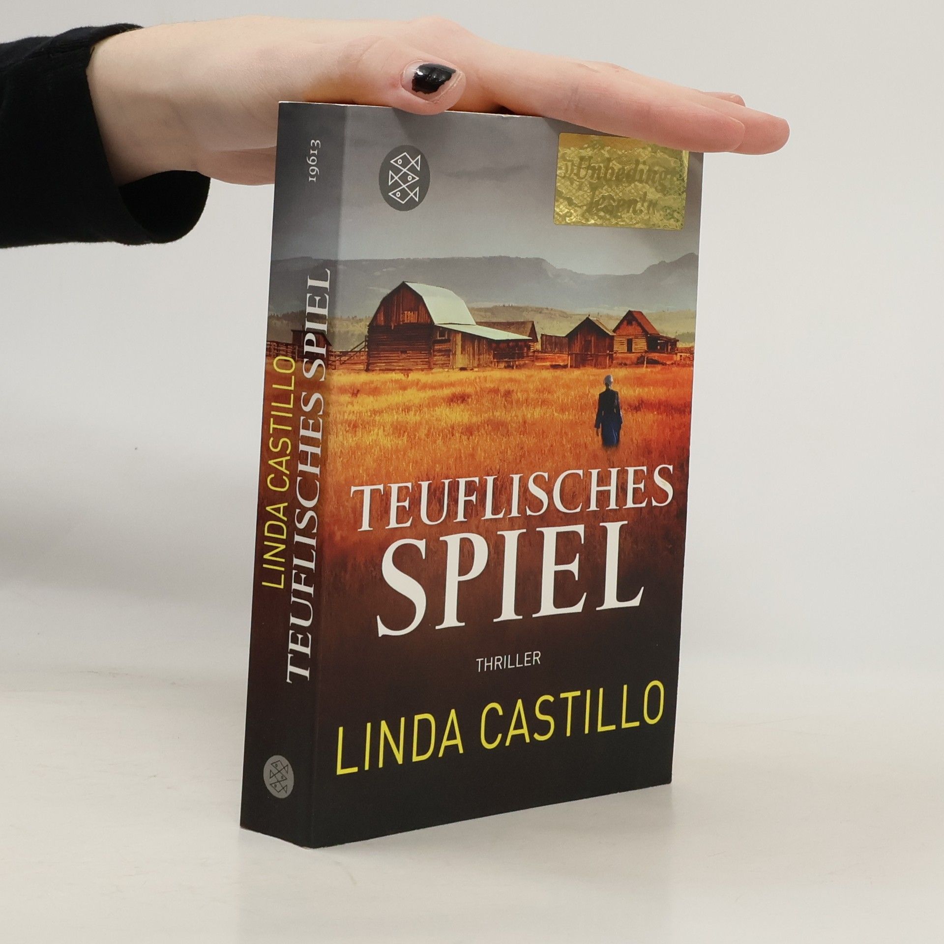 Linda Castillo Teuflisches Spiel