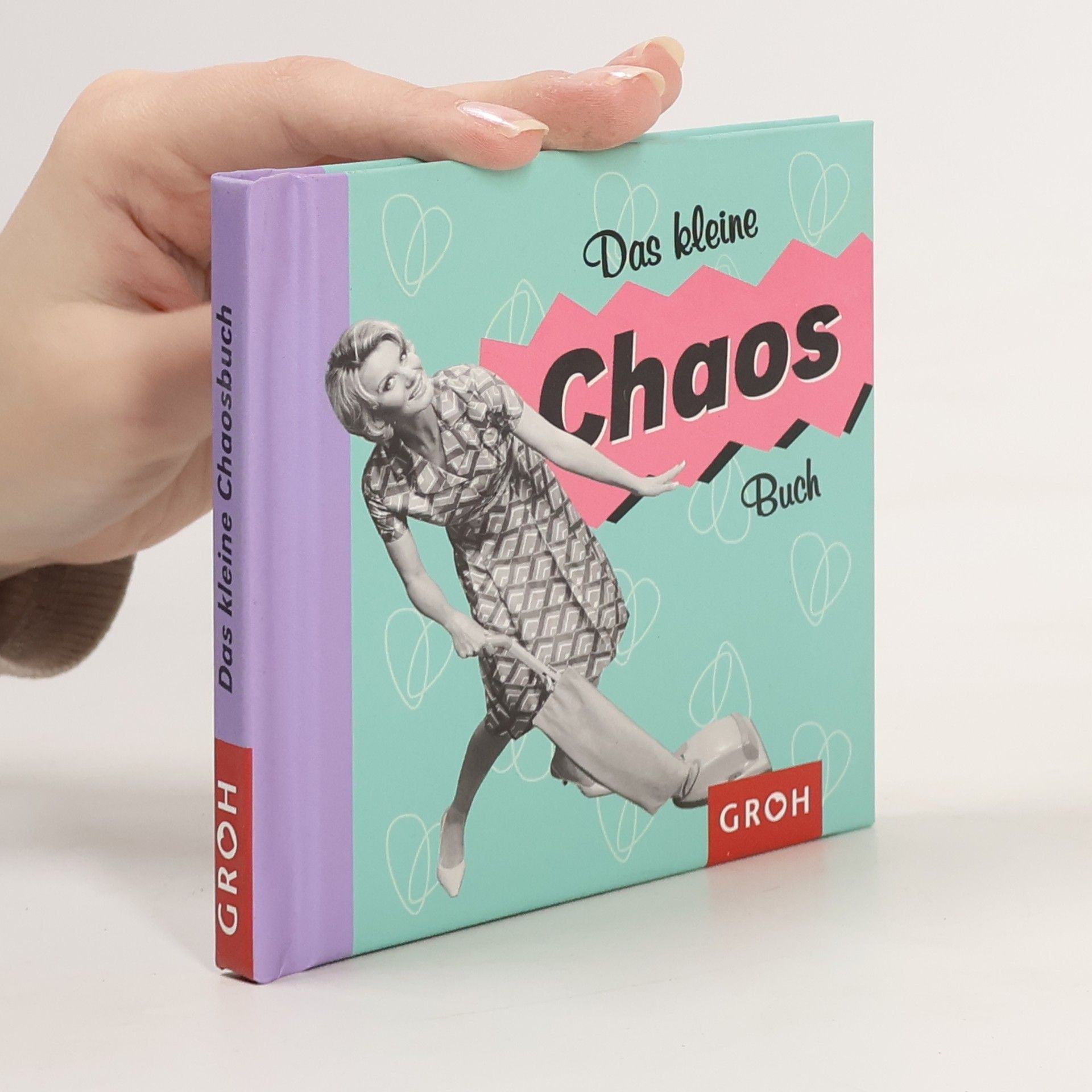 Das kleine Chaosbuch