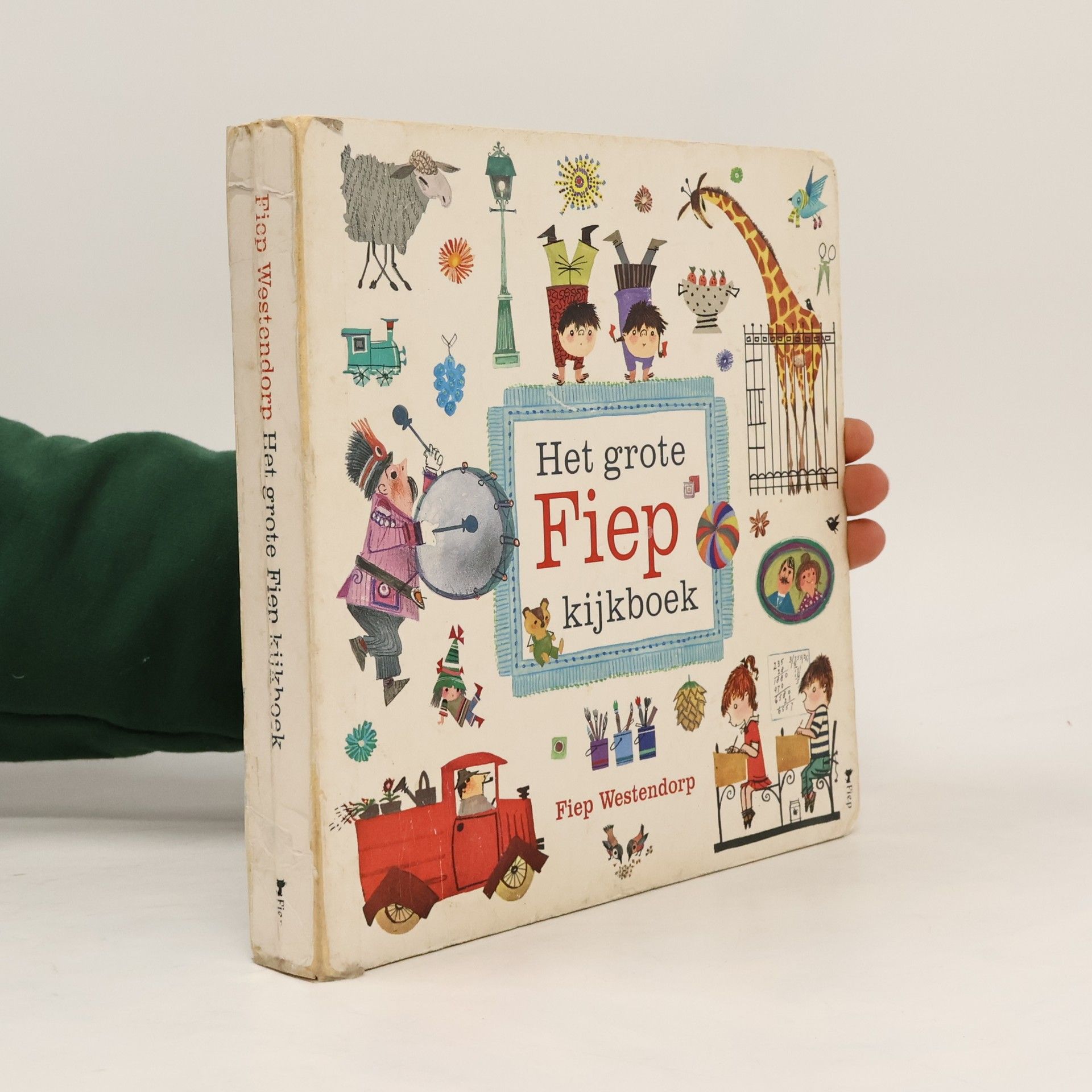 Het grote Fiep kijkboek