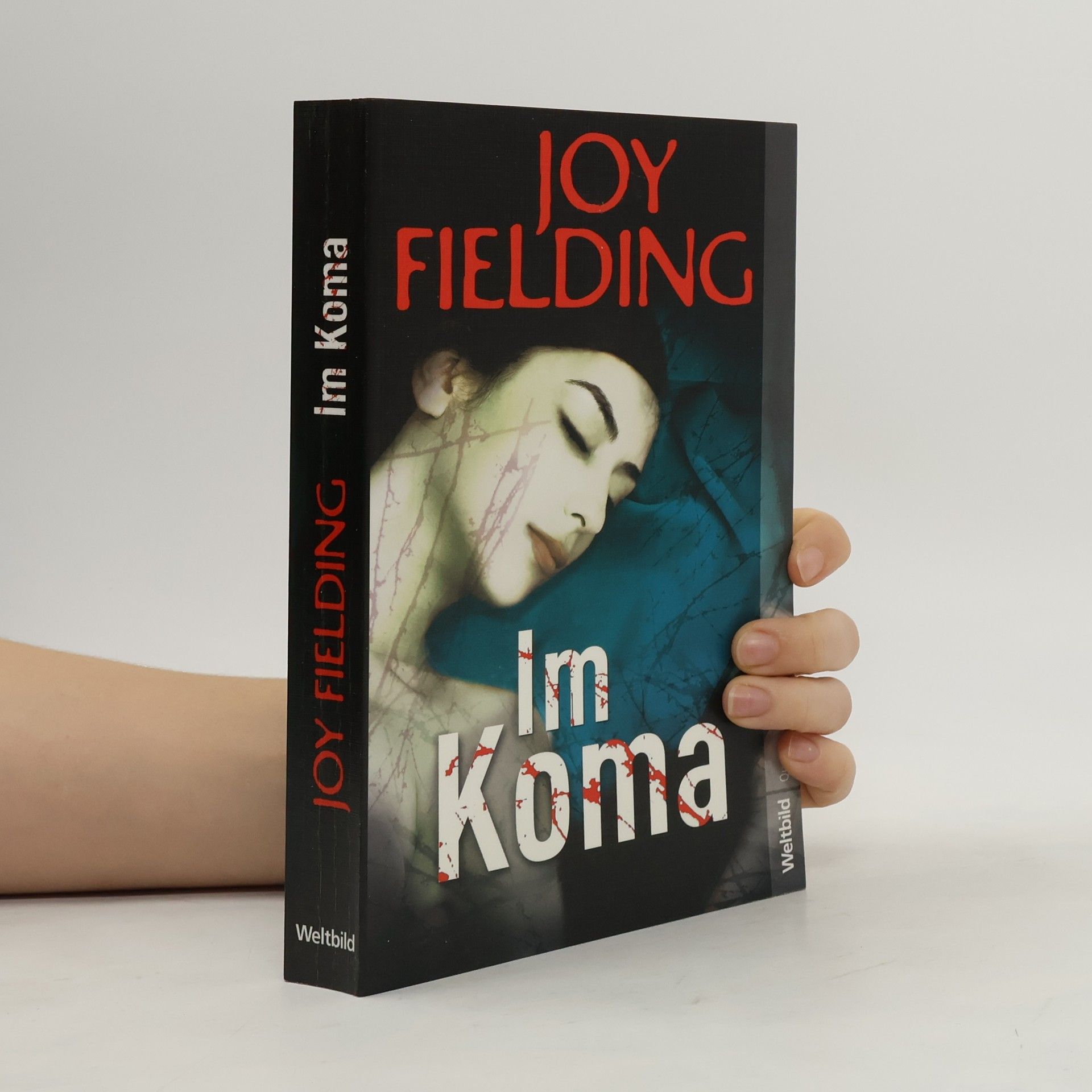 Joy Fielding Im Koma