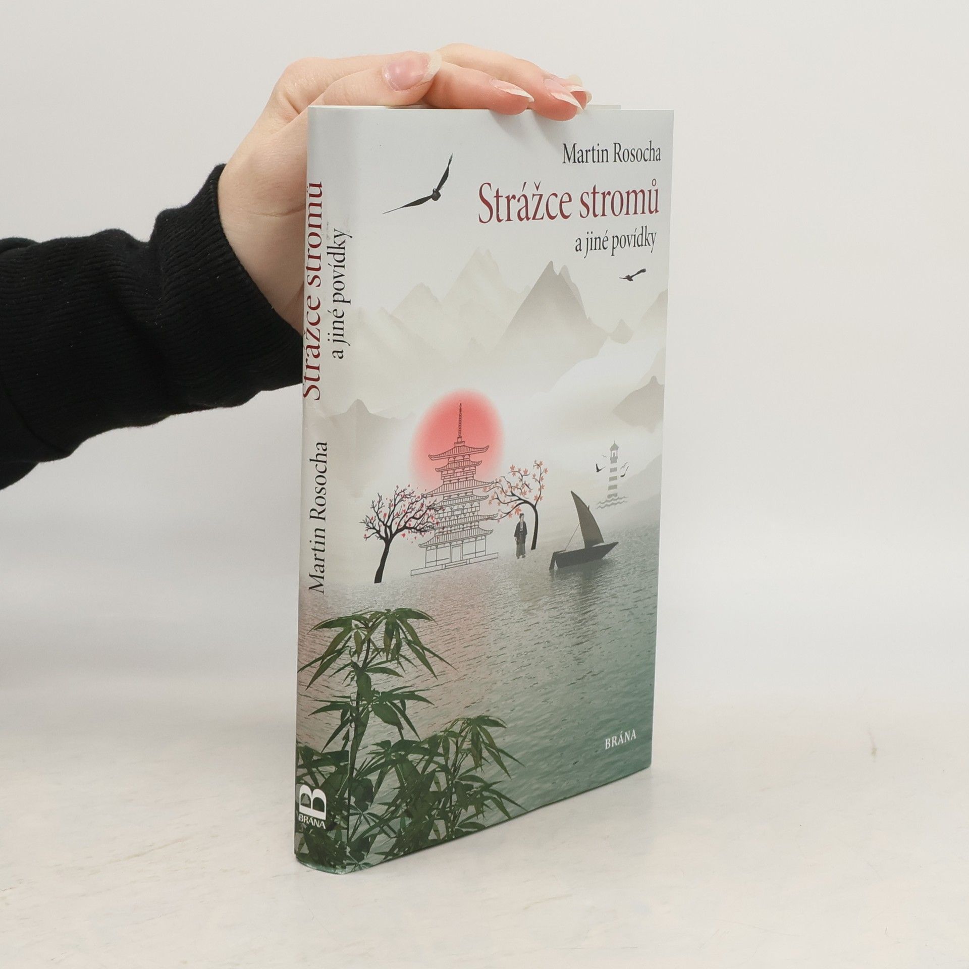 Martin Rosocha Strážce stromů a jiné povídky