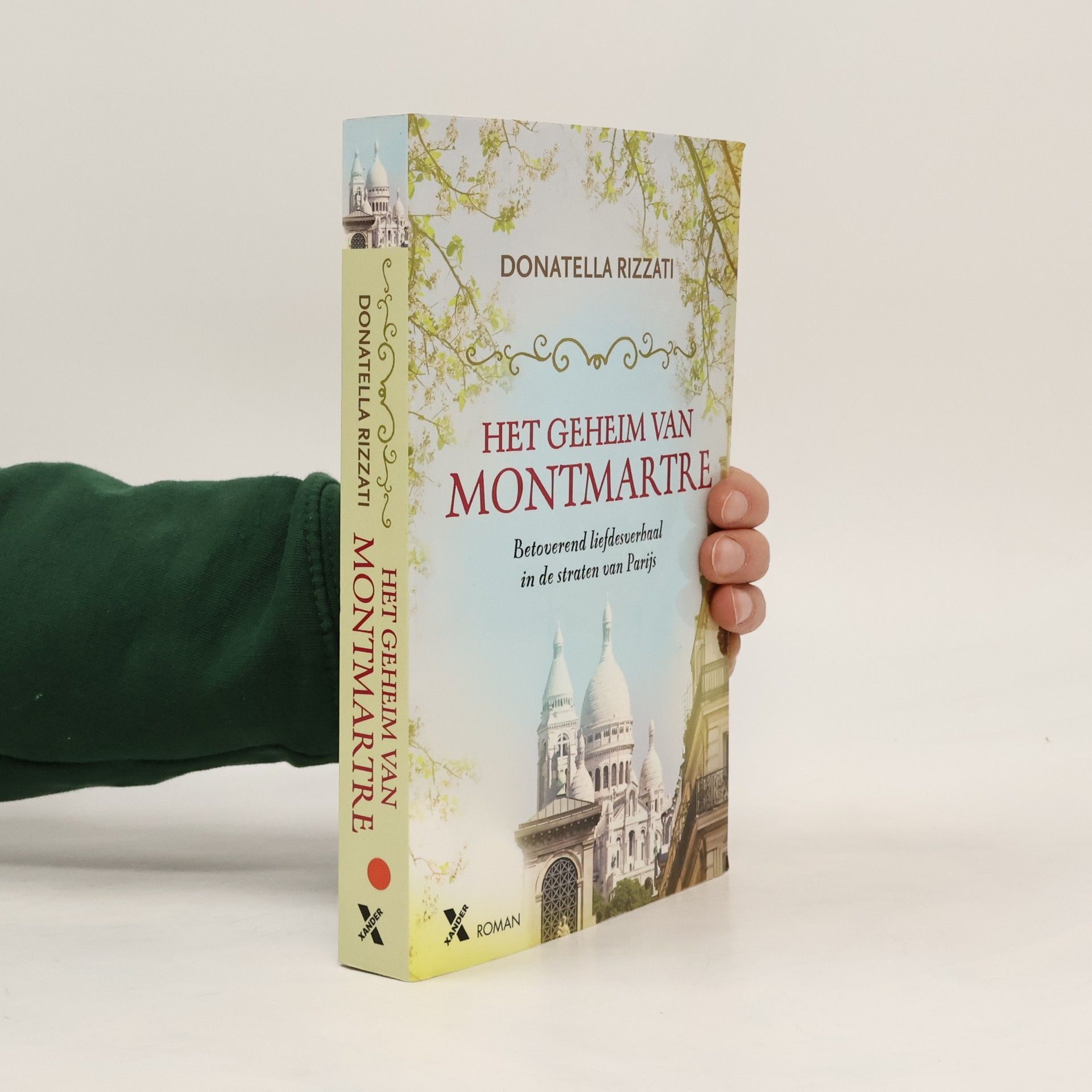 Donatella Rizzati Het Geheim van Montmartre