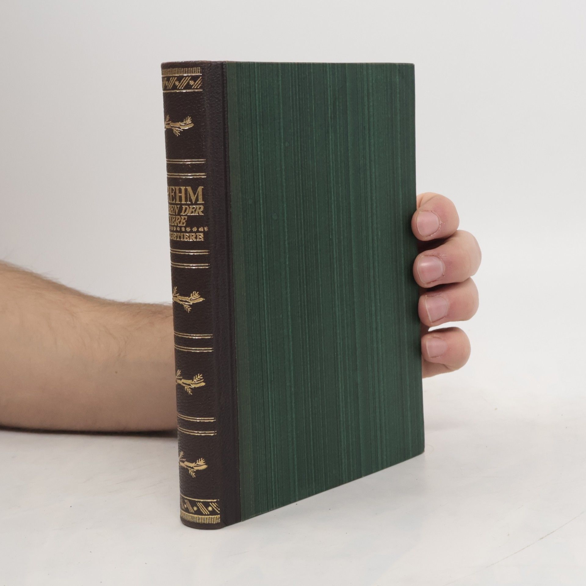 Alfred Edmund Brehm Das Leben der Tiere, Die Gäugetiere