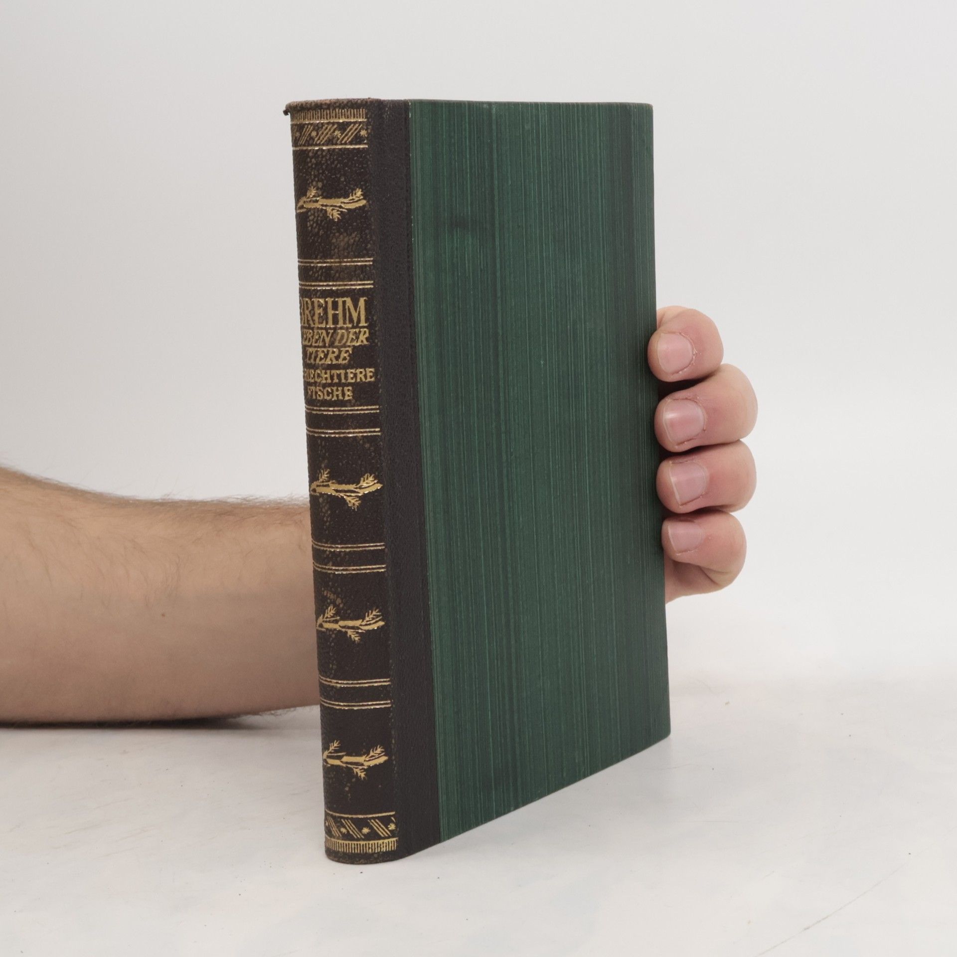 Alfred Edmund Brehm Das Leben der Tiere