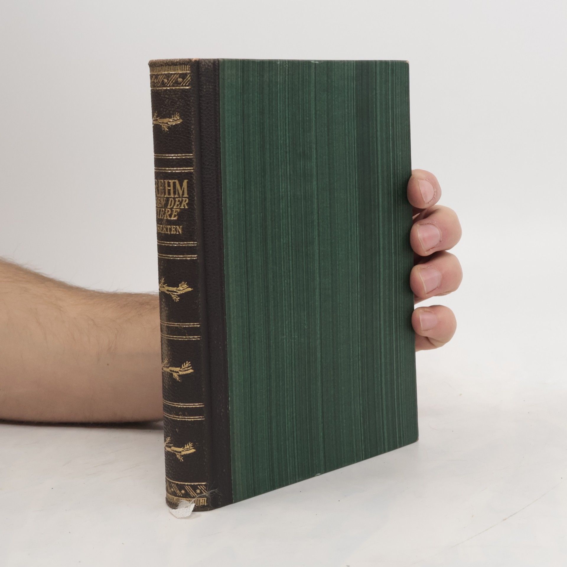 Alfred Edmund Brehm Das Leben der Tiere