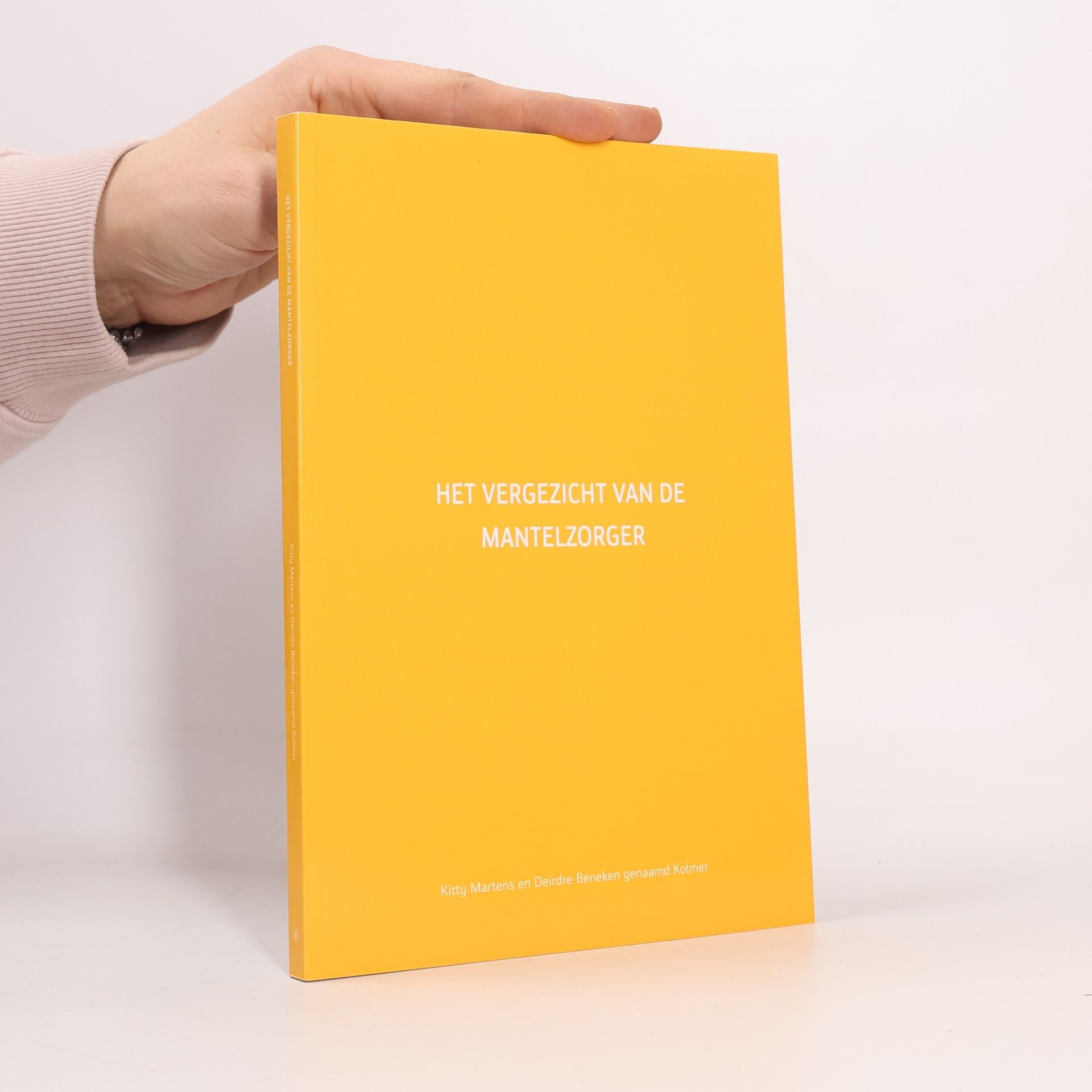 Het vergezicht van de mantelzorger