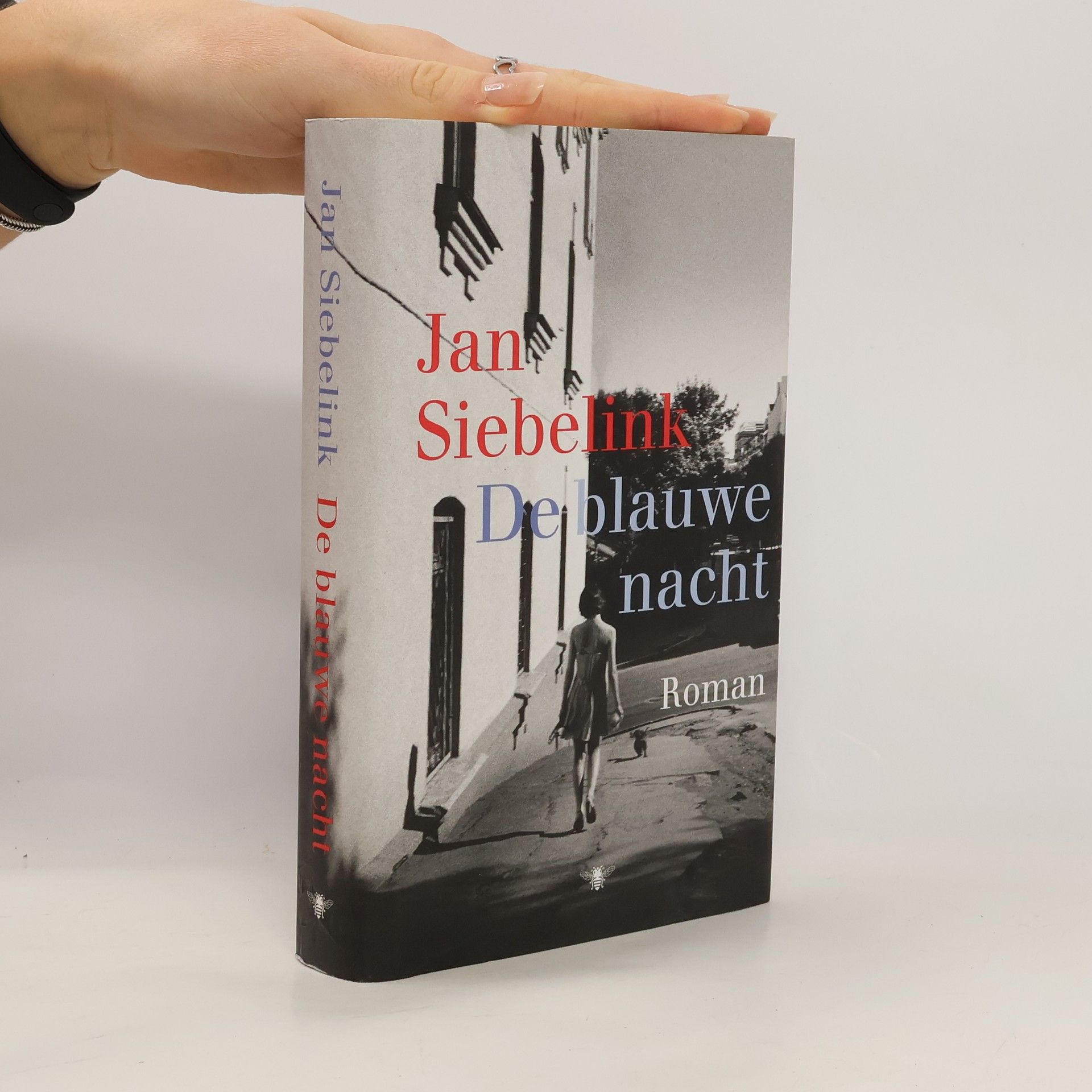 Jan G. Siebelink De blauwe nacht
