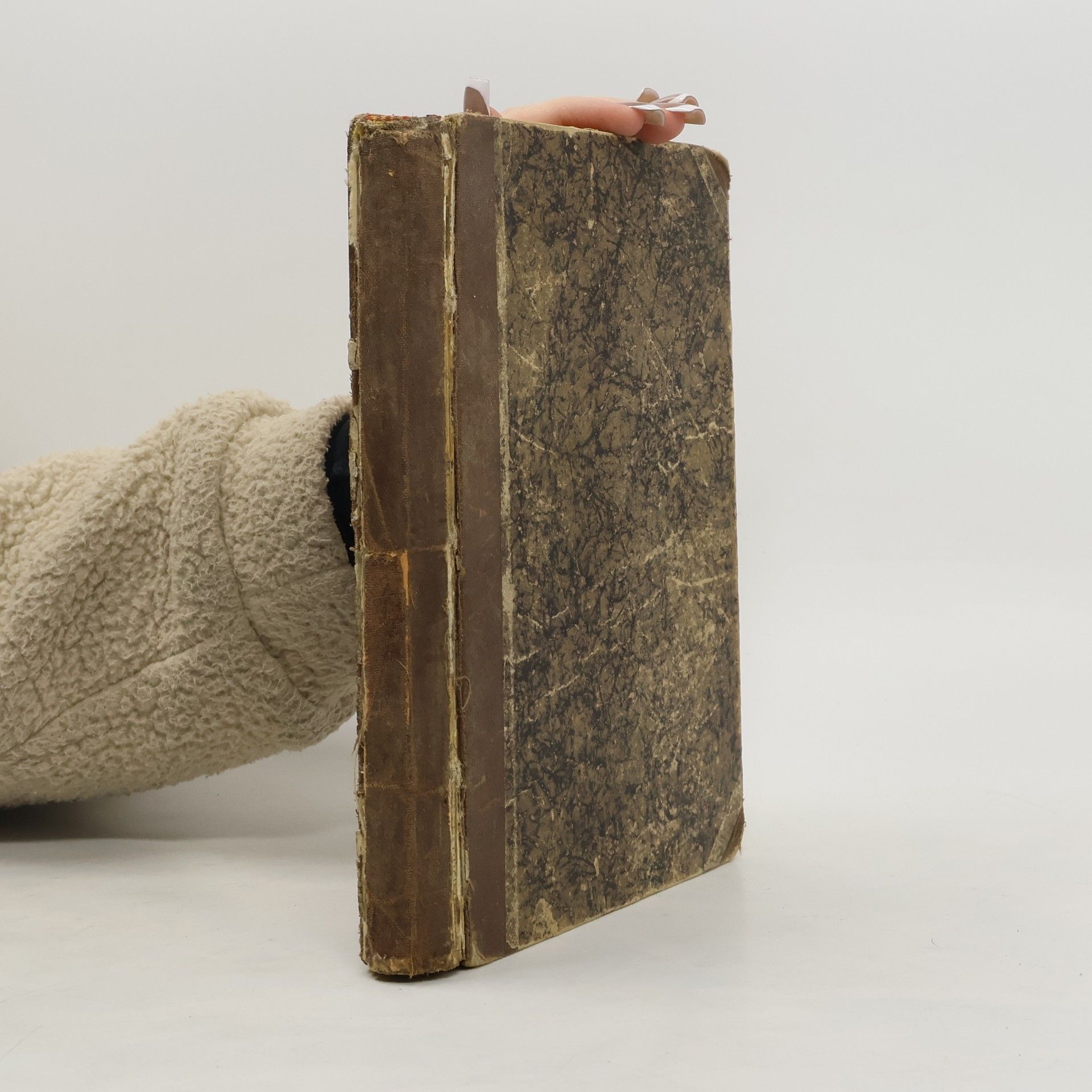 C. Lopez Žena dvou mužů