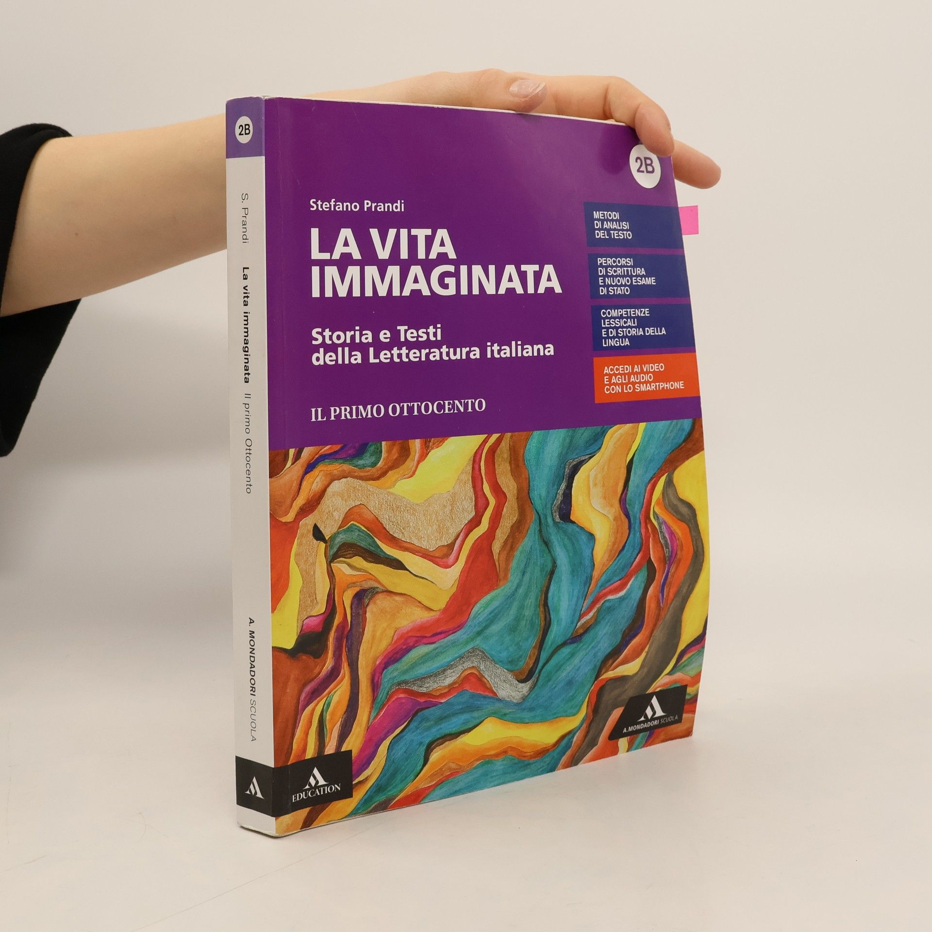 Stefano Prandi La vita immaginata