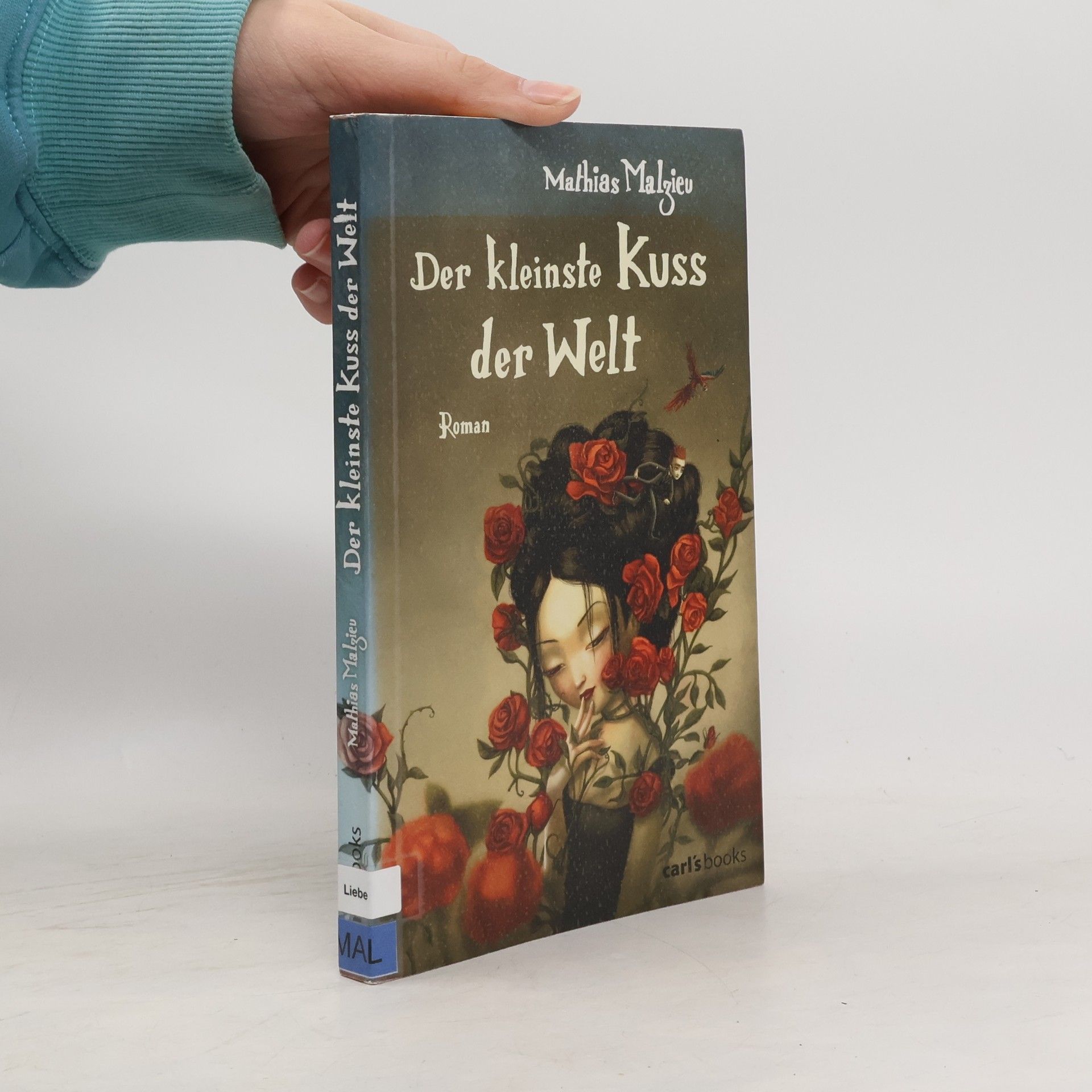 Mathias Malzieu Der kleinste Kuss der Welt