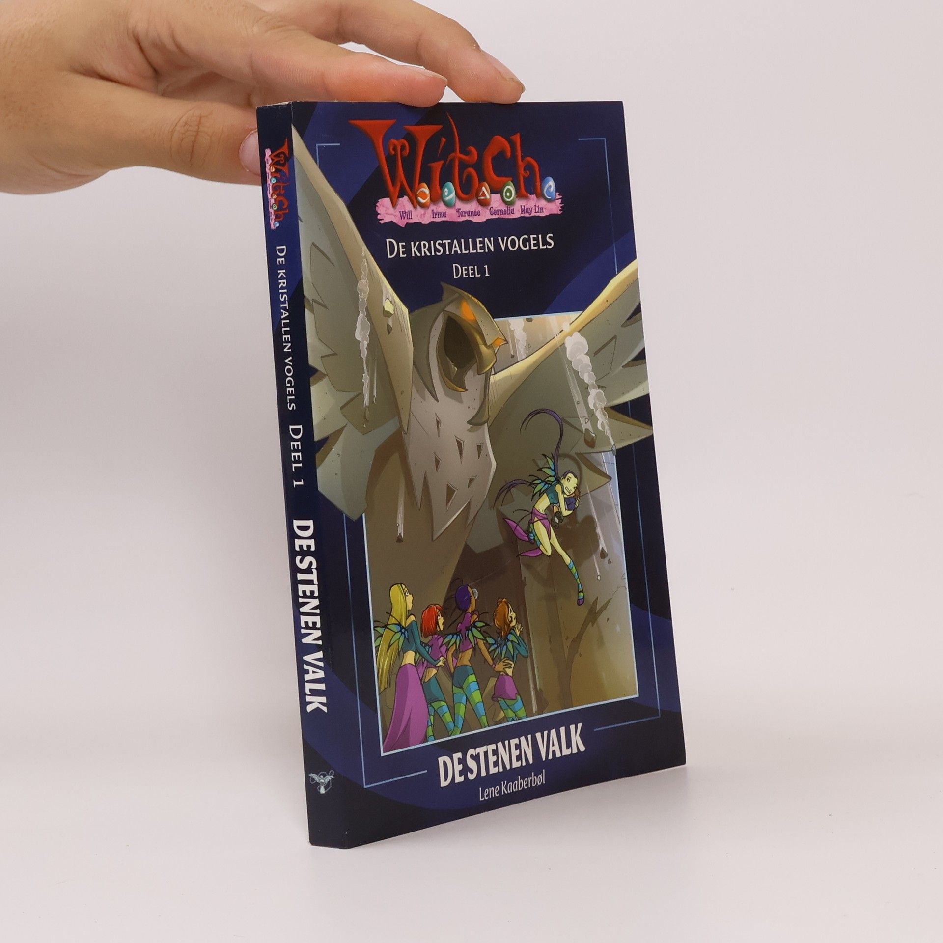 Auteurscollectief Witch. De stenen valk