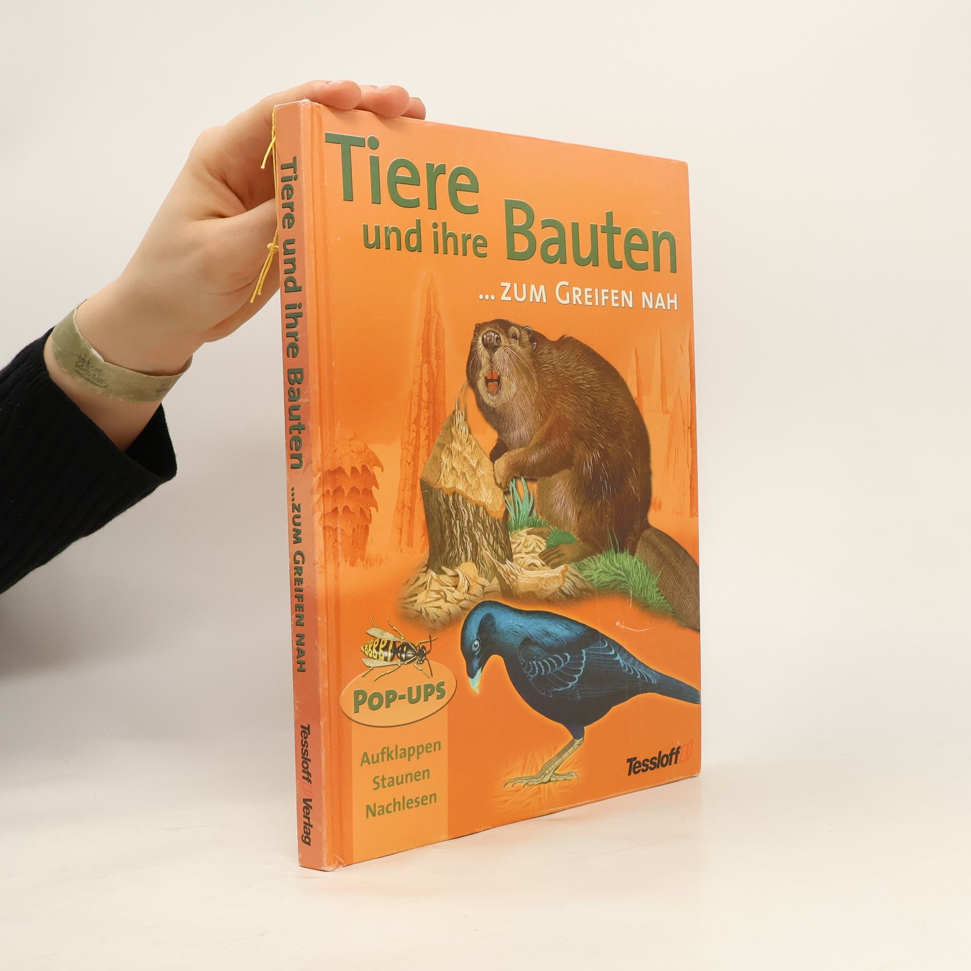 John Woodward Tiere und ihre Bauten