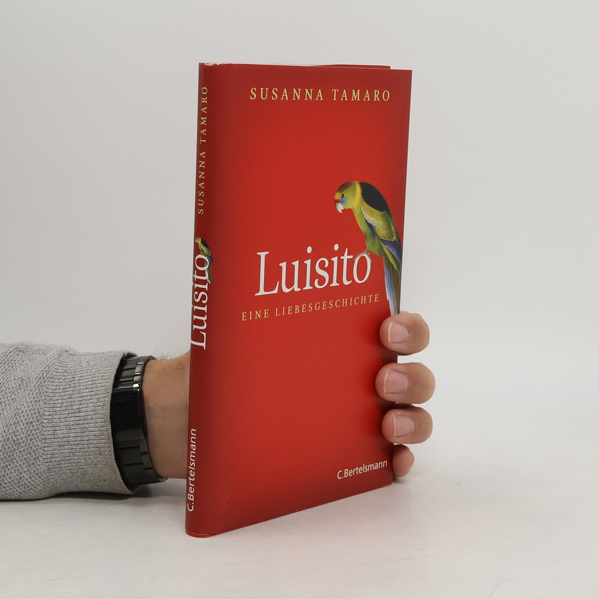 Susanna Tamaro Luisito