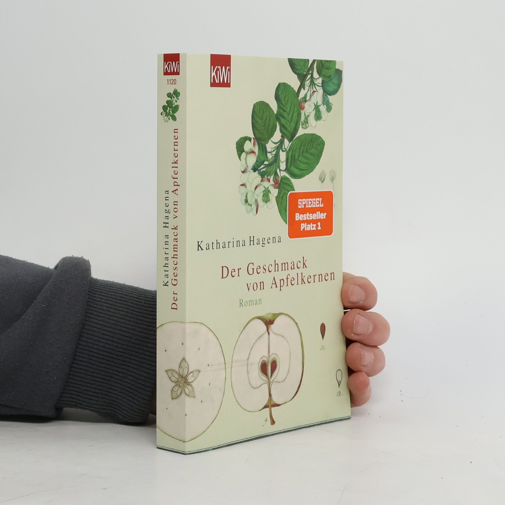 Katharina Hagena Der Geschmack von Apfelkernen
