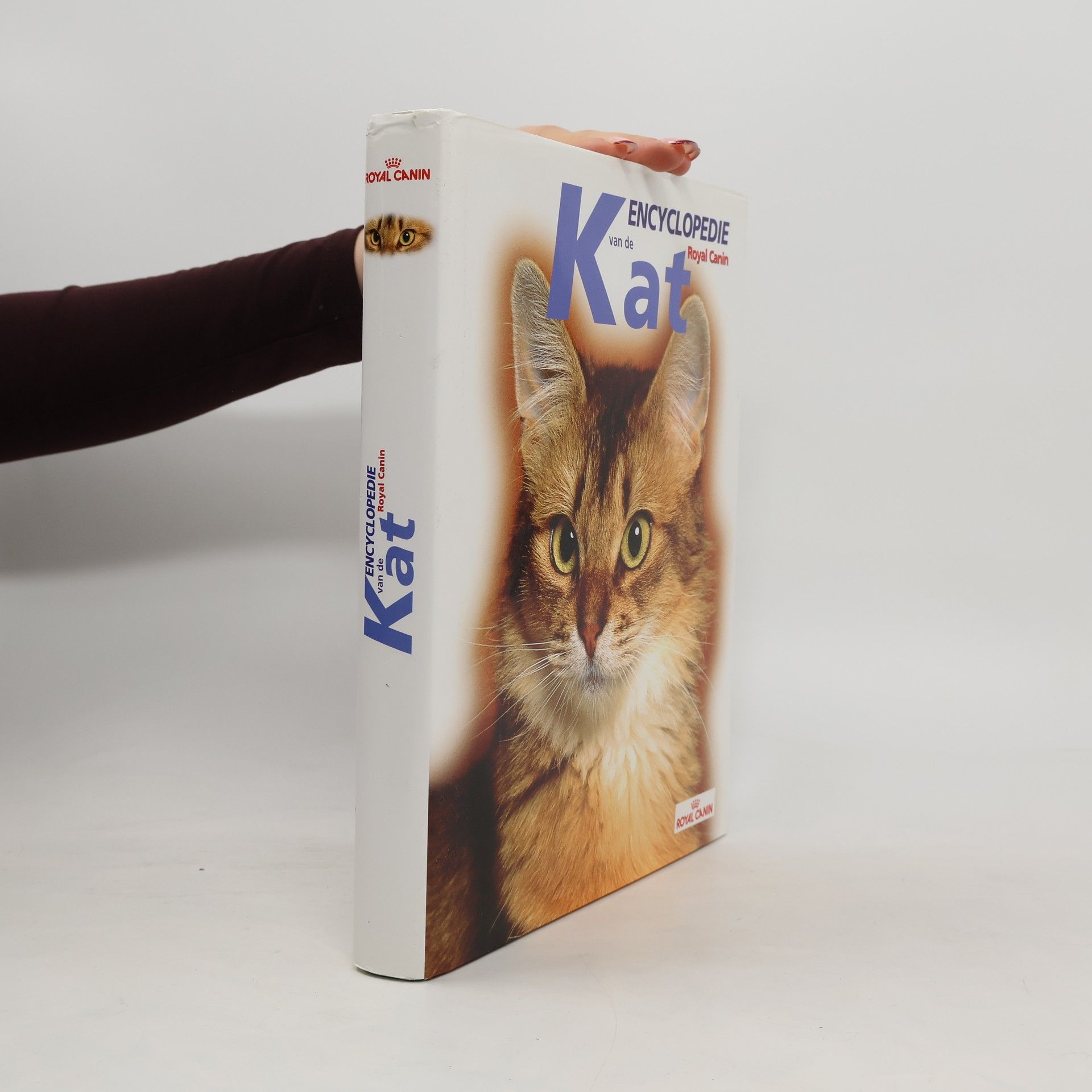 Autorenkollektiv Encyclopedie van de Kat