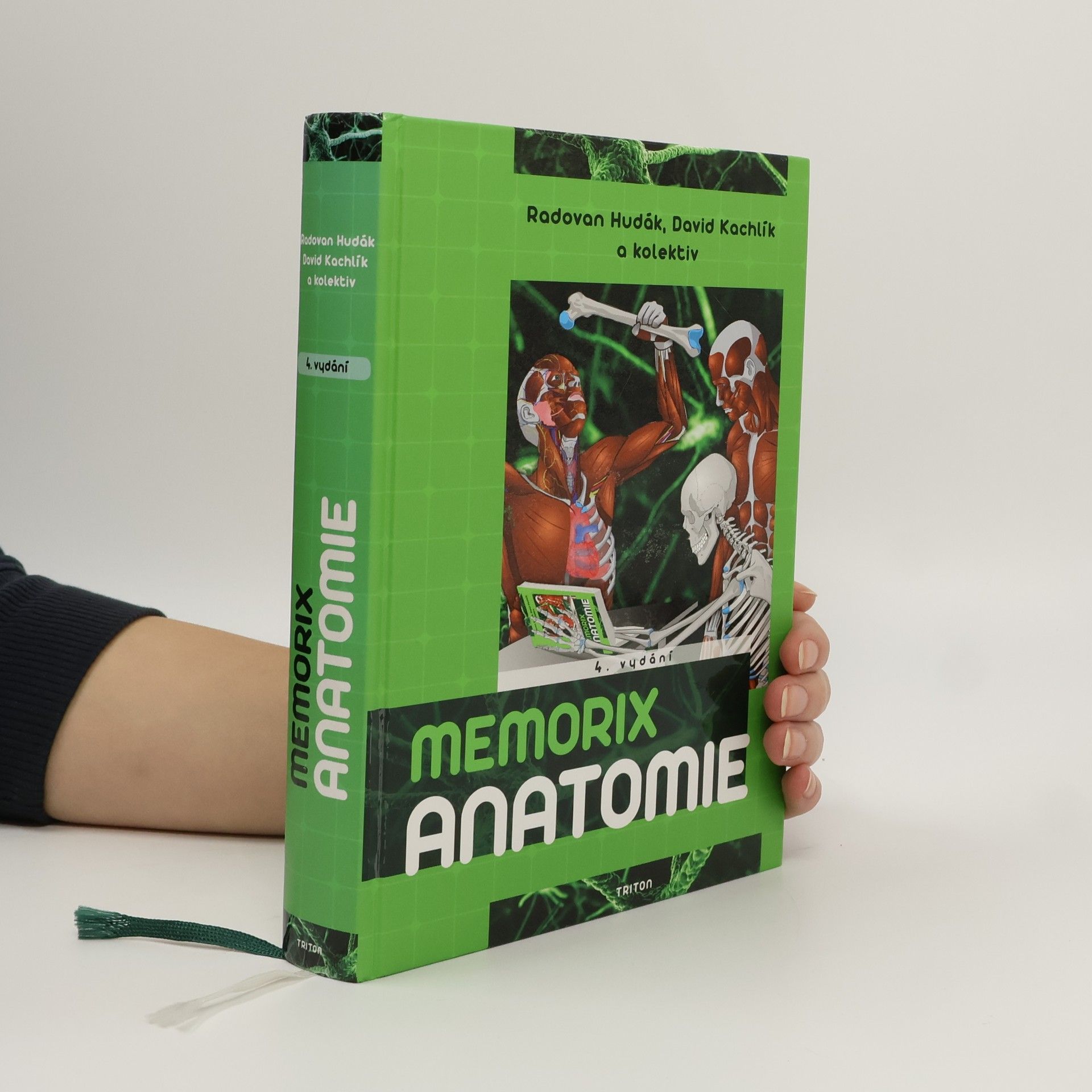Memorix anatomie