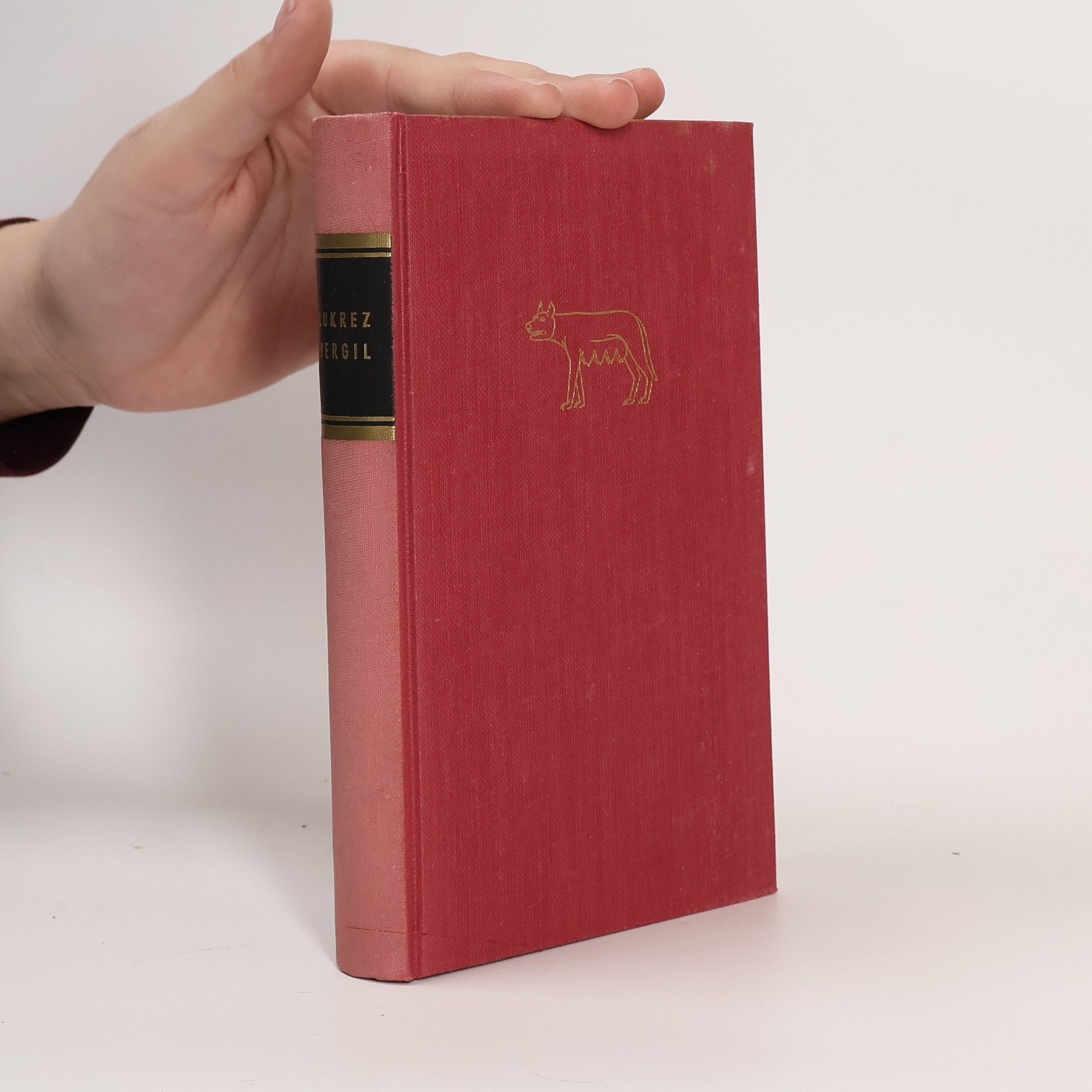 Dichtung der Antike X