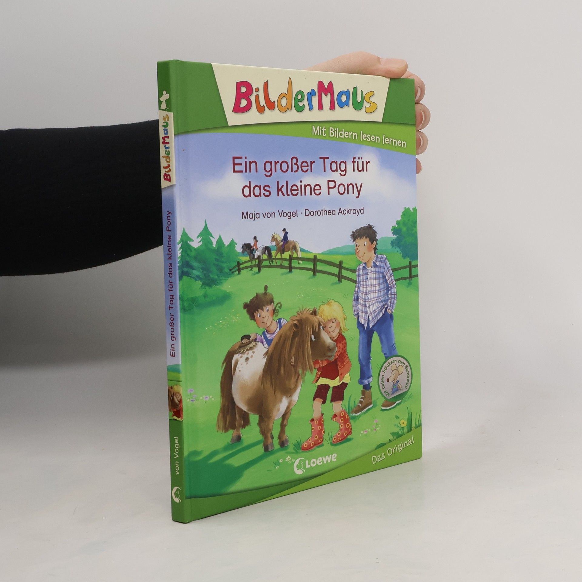 Maja von Vogel Ein großer Tag für das kleine Pony