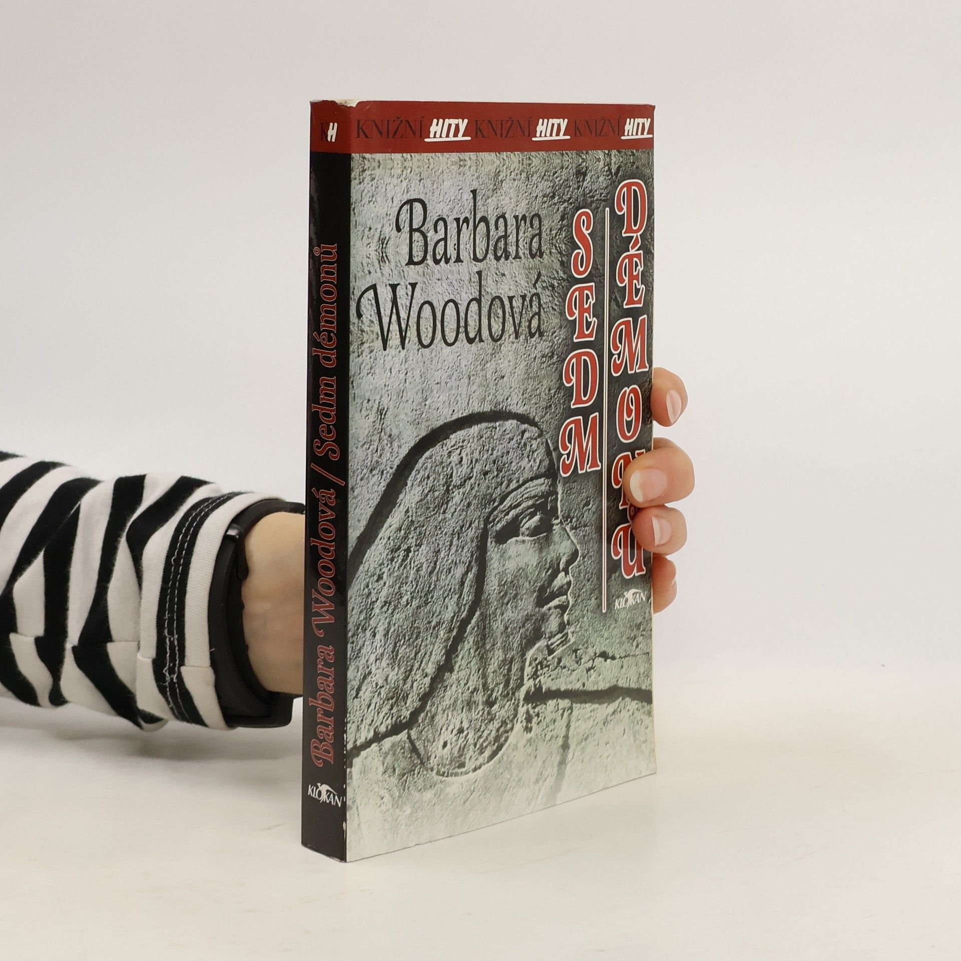 Barbara Wood Sedm démonů