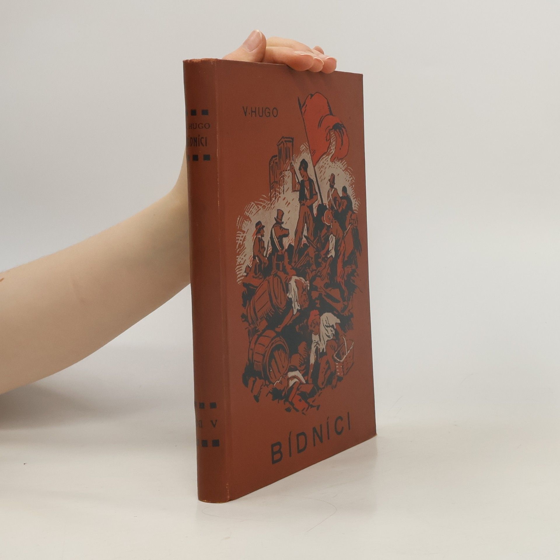 Victor Hugo Bidnici V.