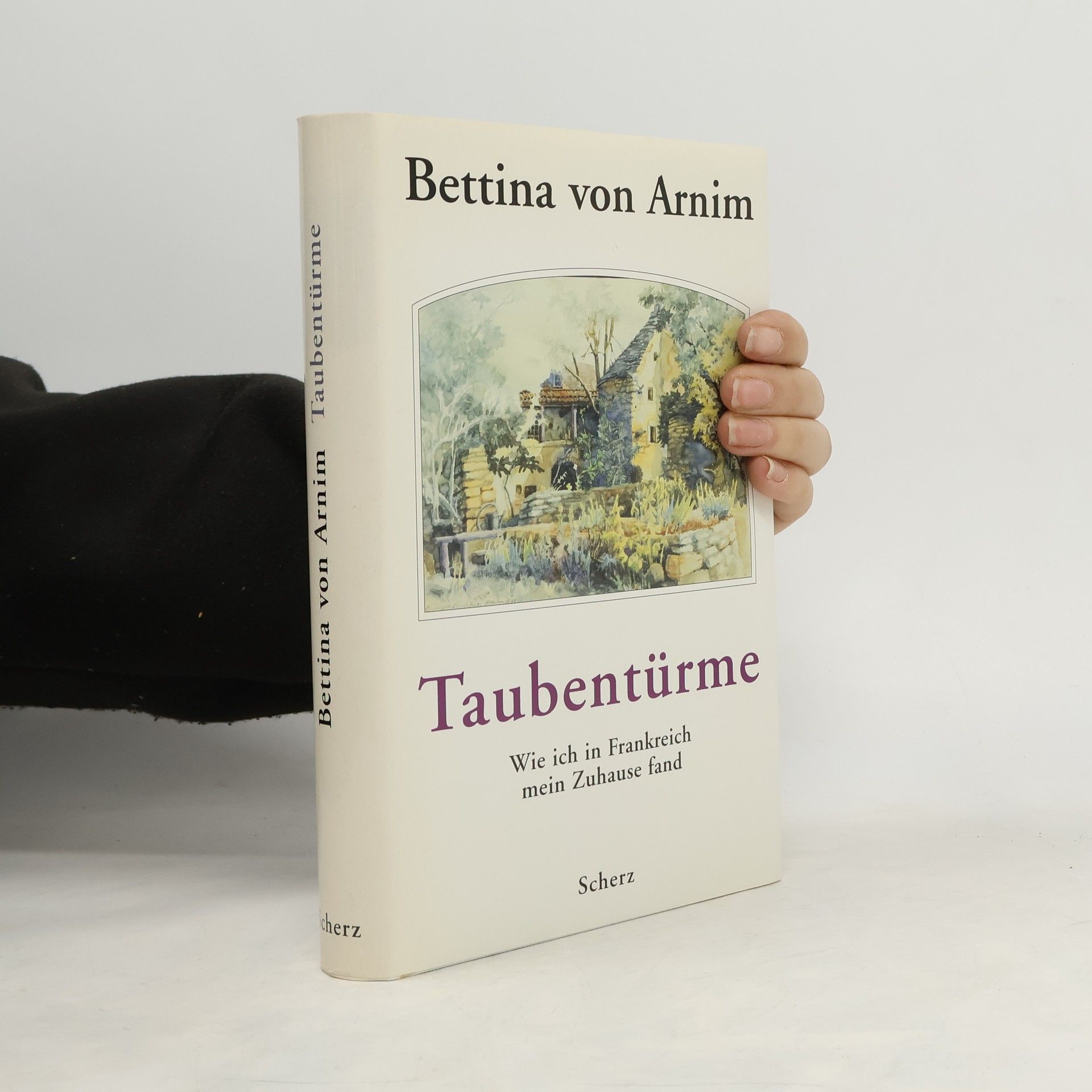 Bettina von Arnim Taubentürme