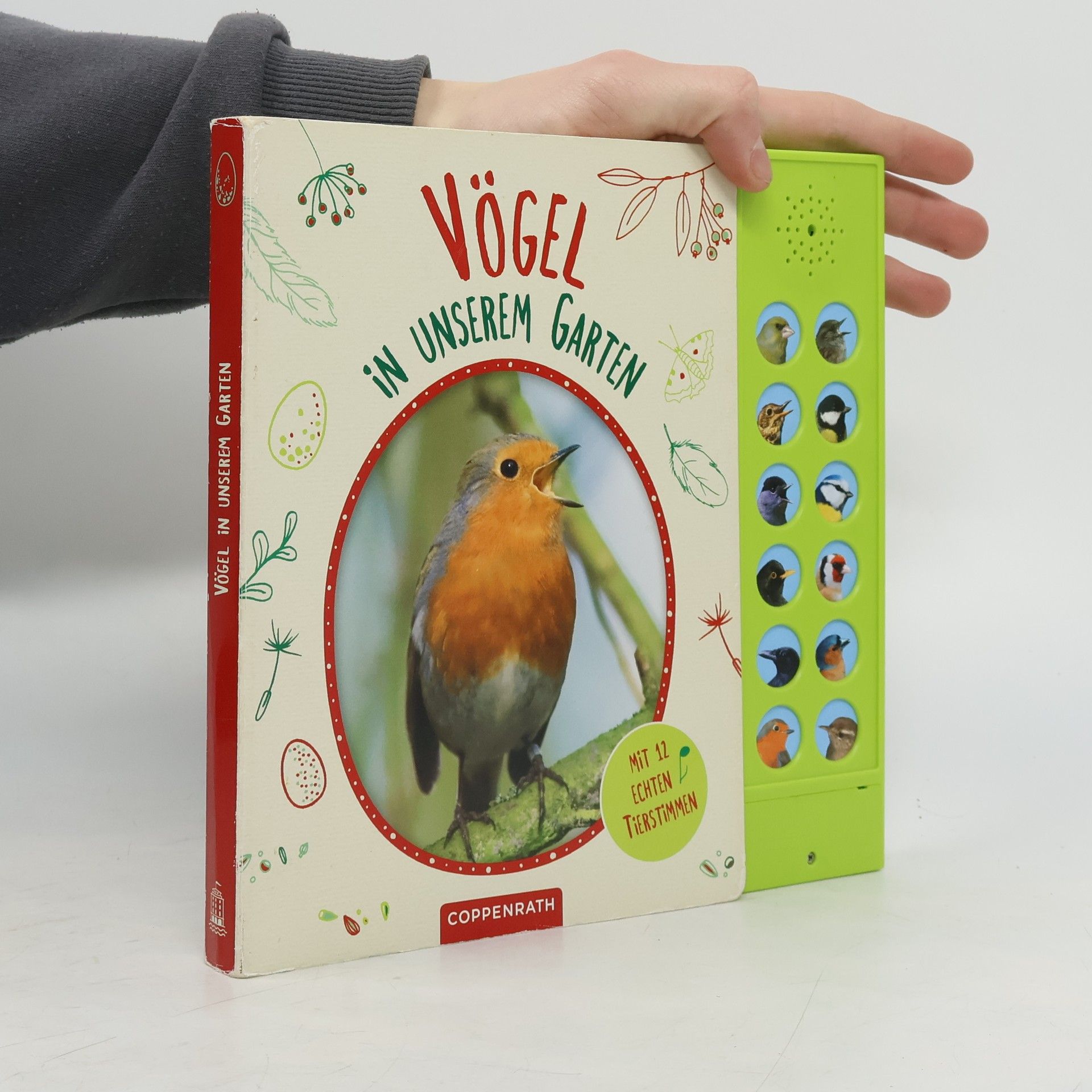 Holger Haag Vögel in unserem Garten