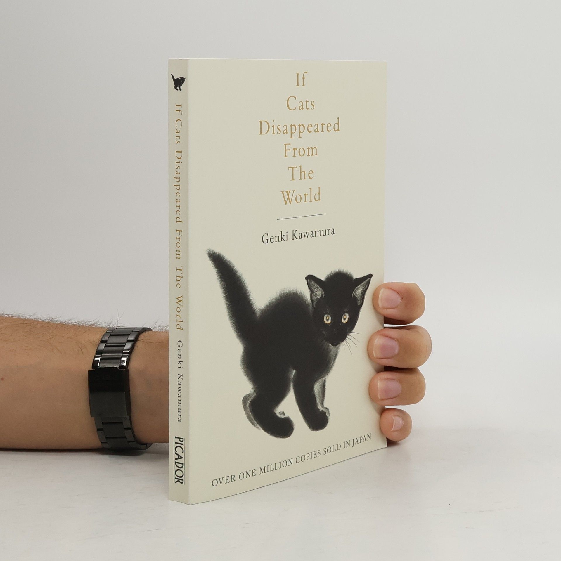 Genki Kawamura If Cats Disappeared from the World
