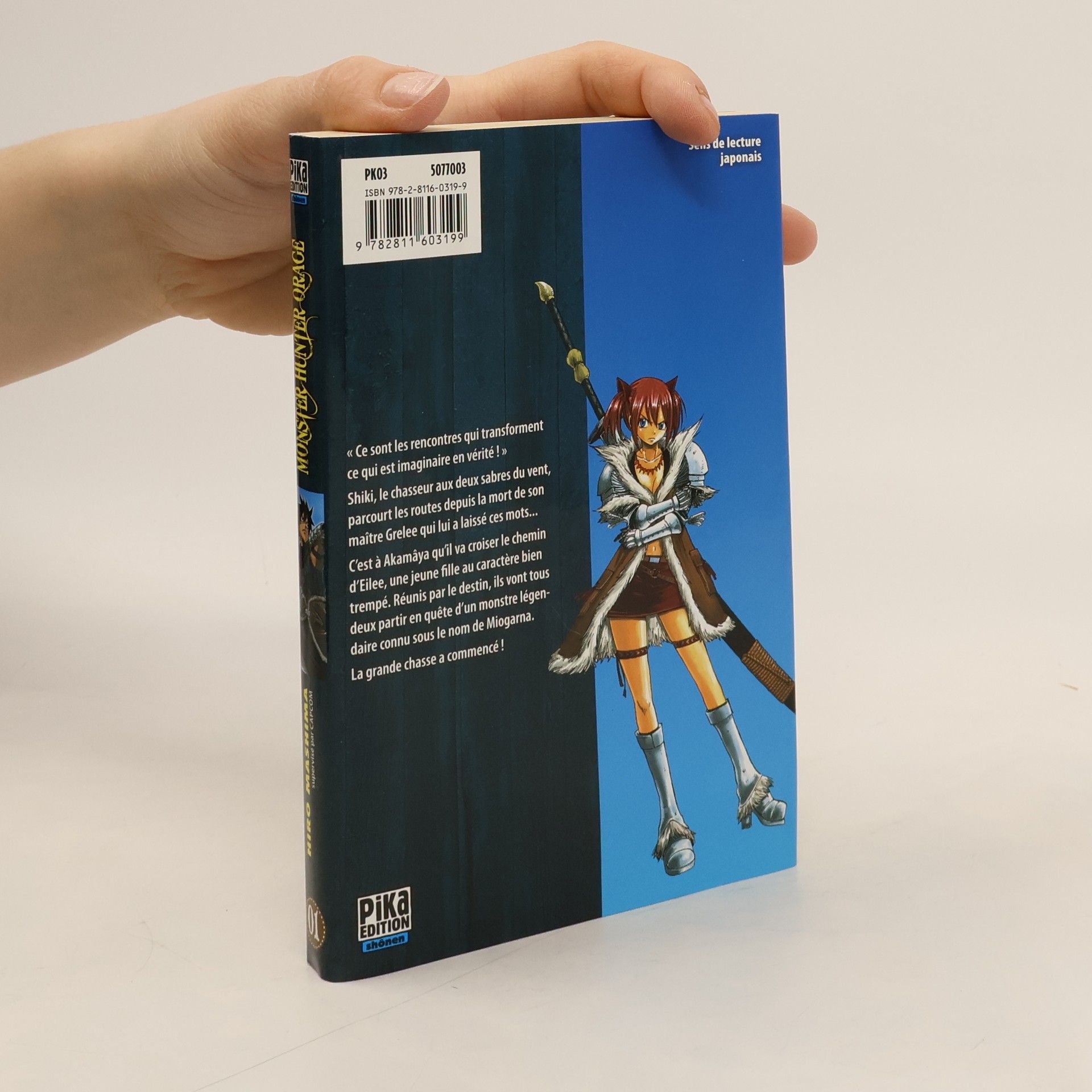 Hiro M. Monster Hunter Orage