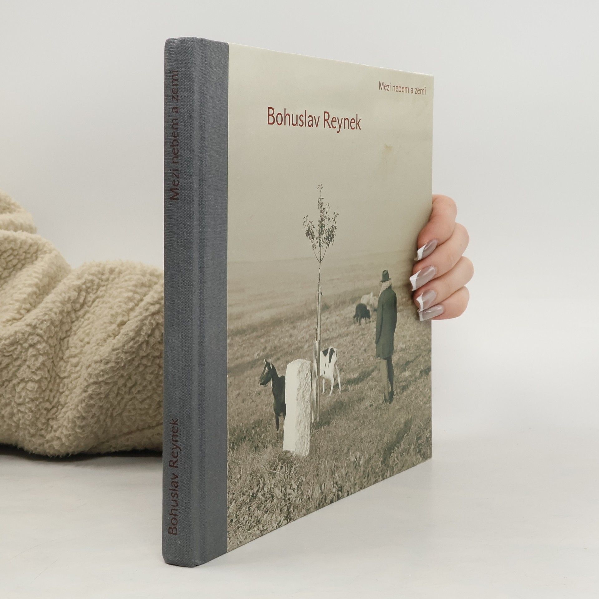 Bohuslav Reynek : mezi nebem a zemí