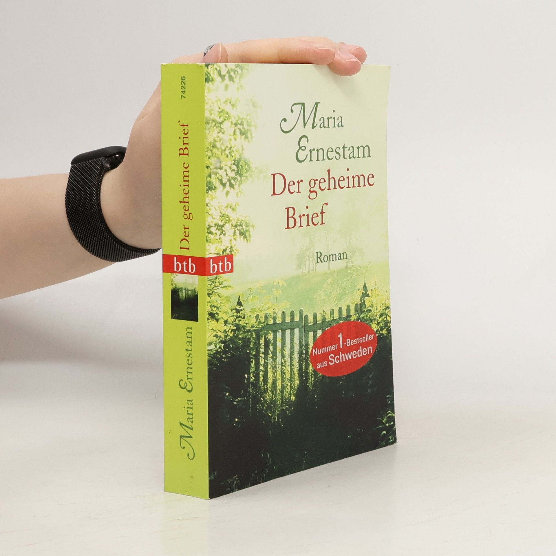 Maria Ernestam Der geheime Brief
