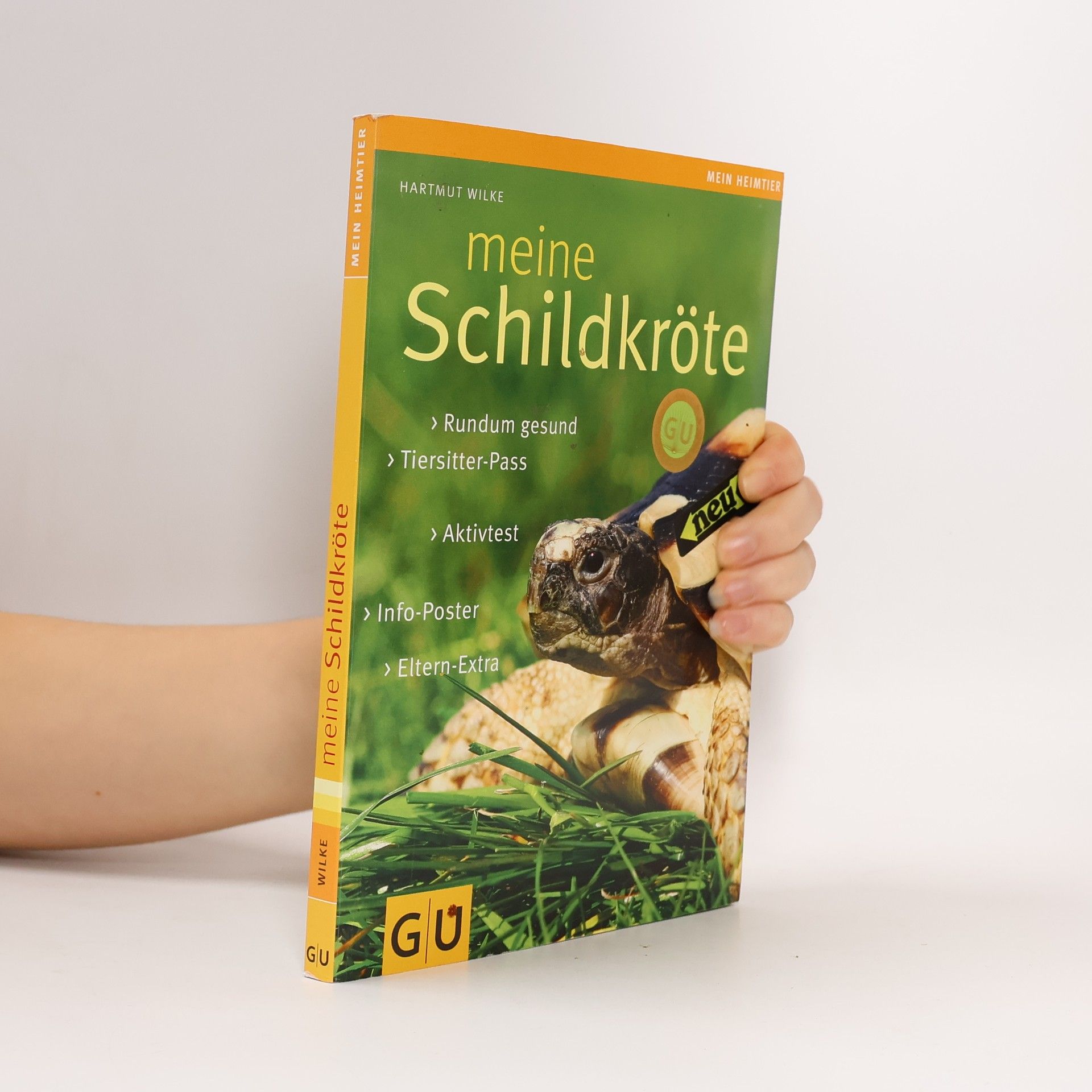 Hartmut Wilke Meine Schildkröte