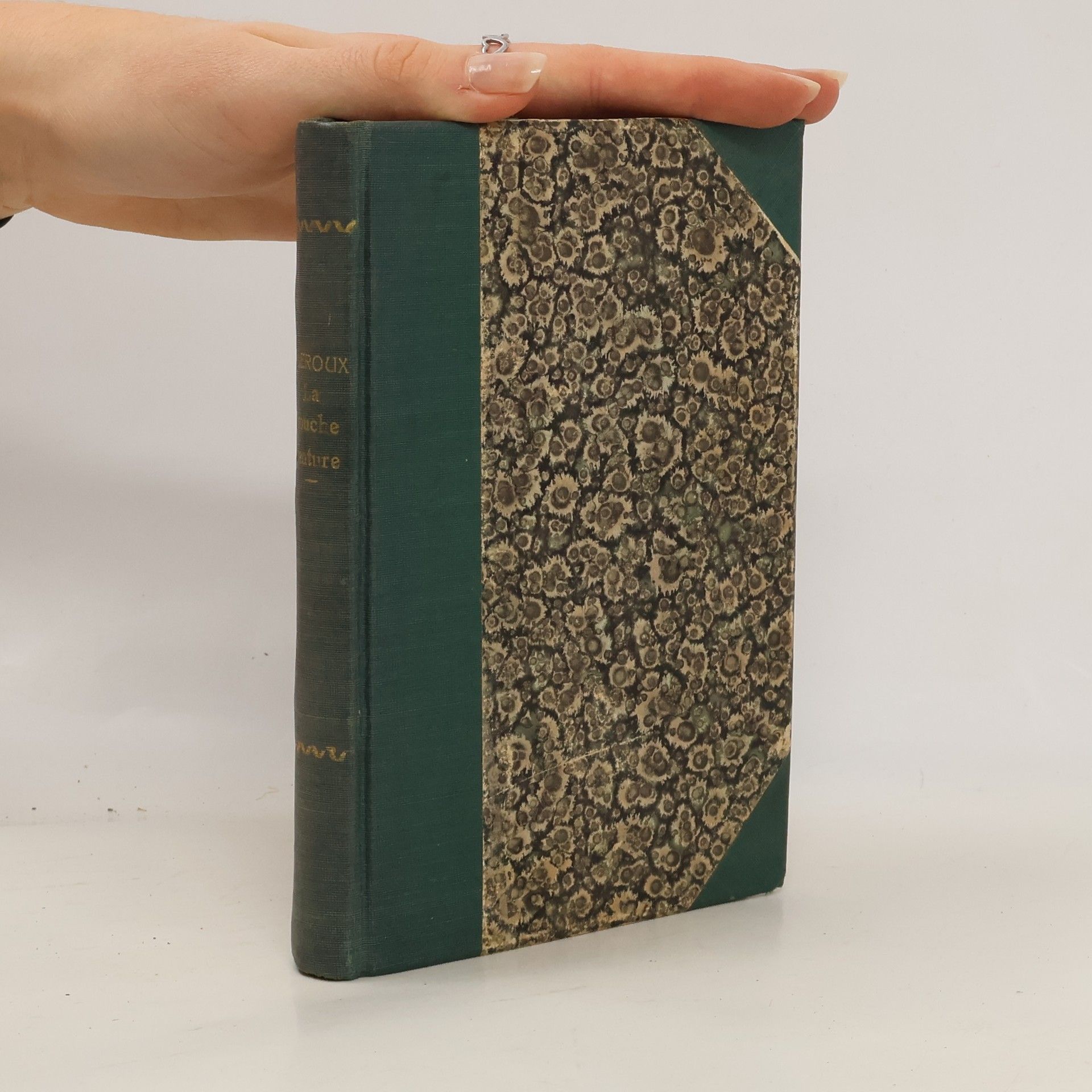 Gaston Leroux La Farouche Aventure