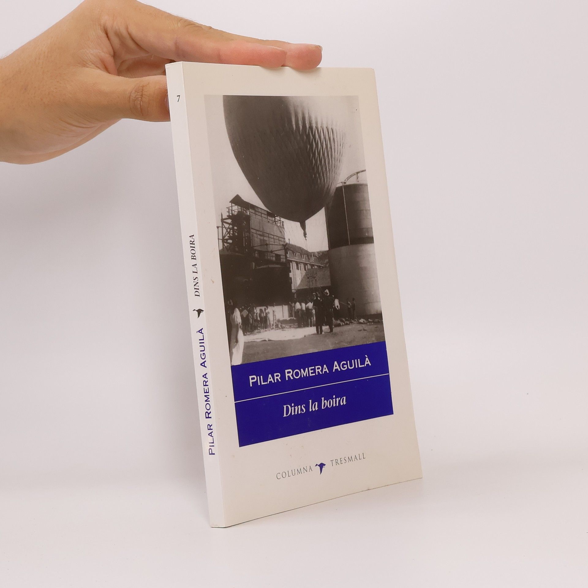 Pilar Romera Aguilà Dins la boira