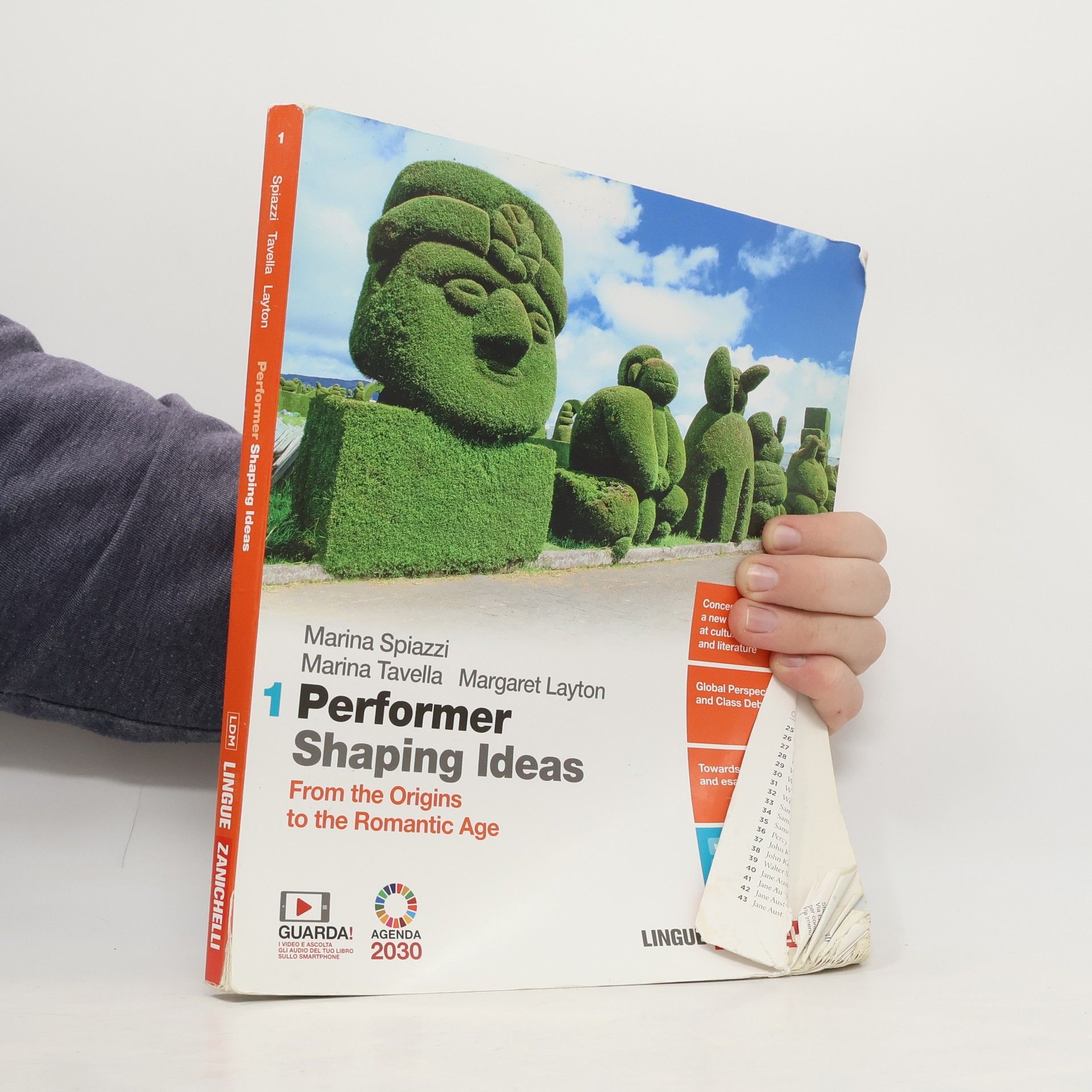 Marina Spiazzi Performer Shaping Ideas 1