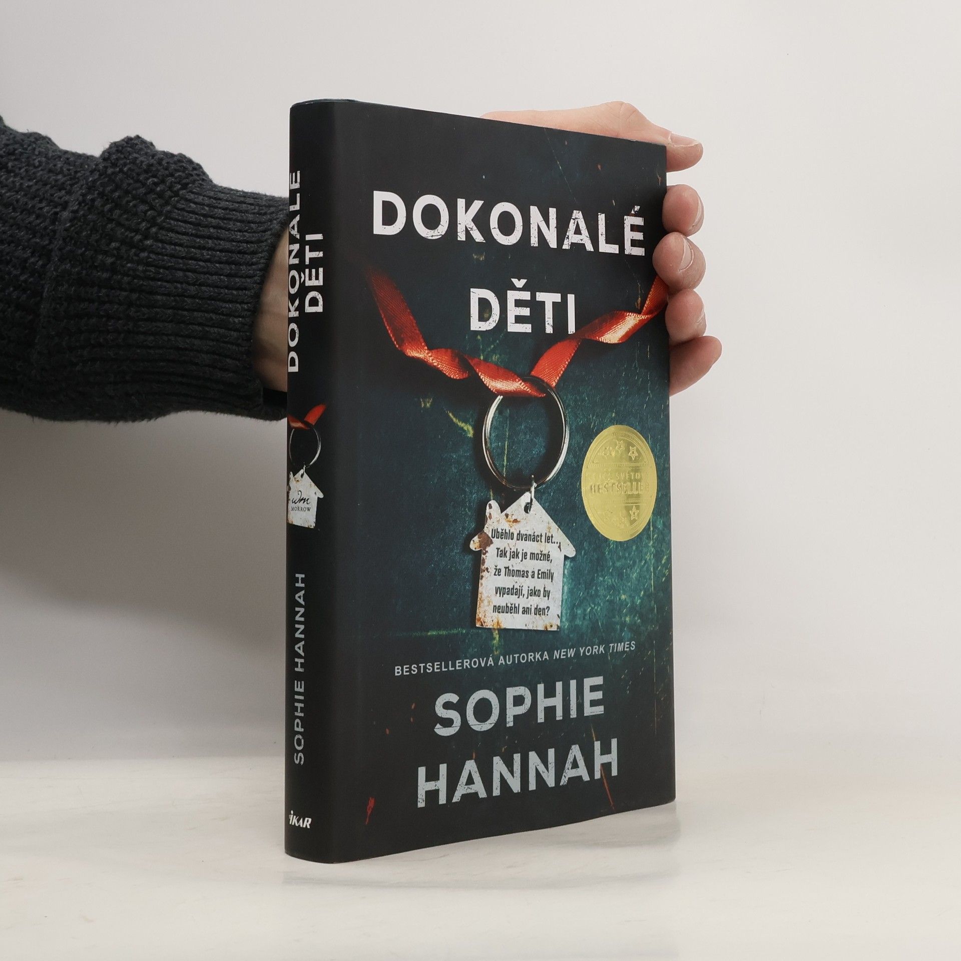 Sophie Hannah Dokonalé děti