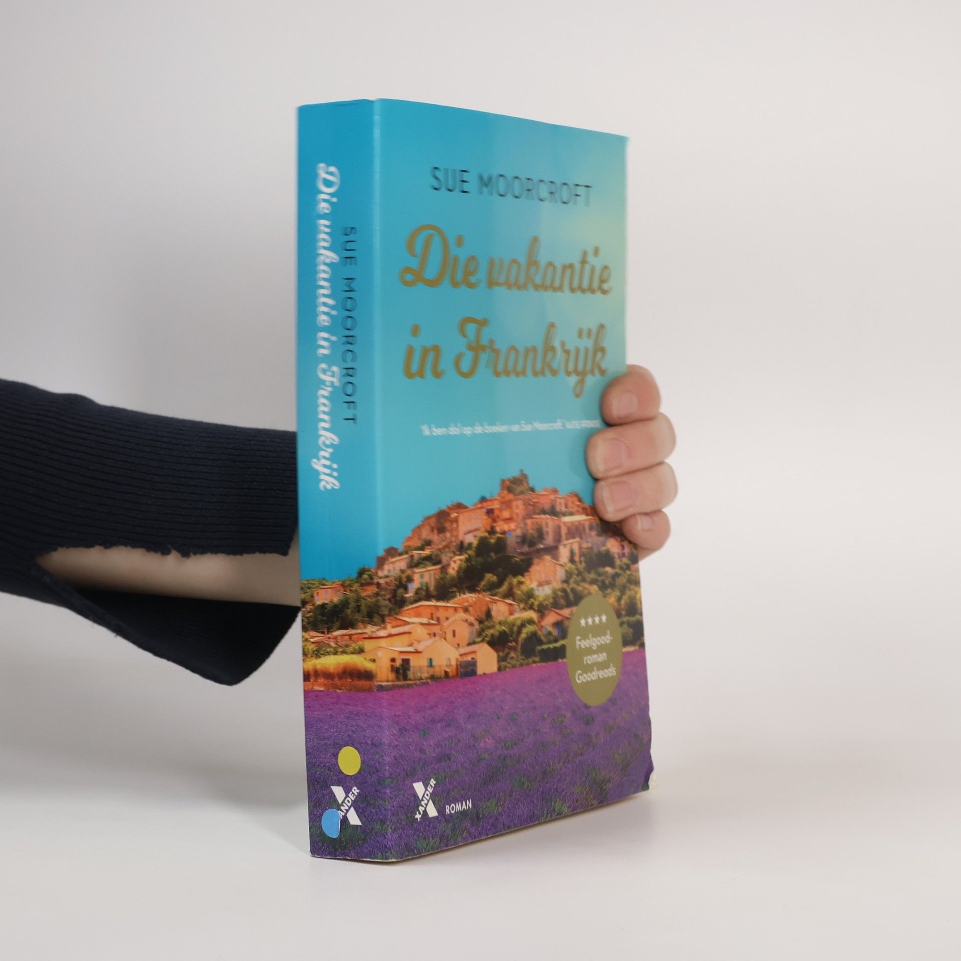 Sue Moorcroft Die vakantie in Frankrijk