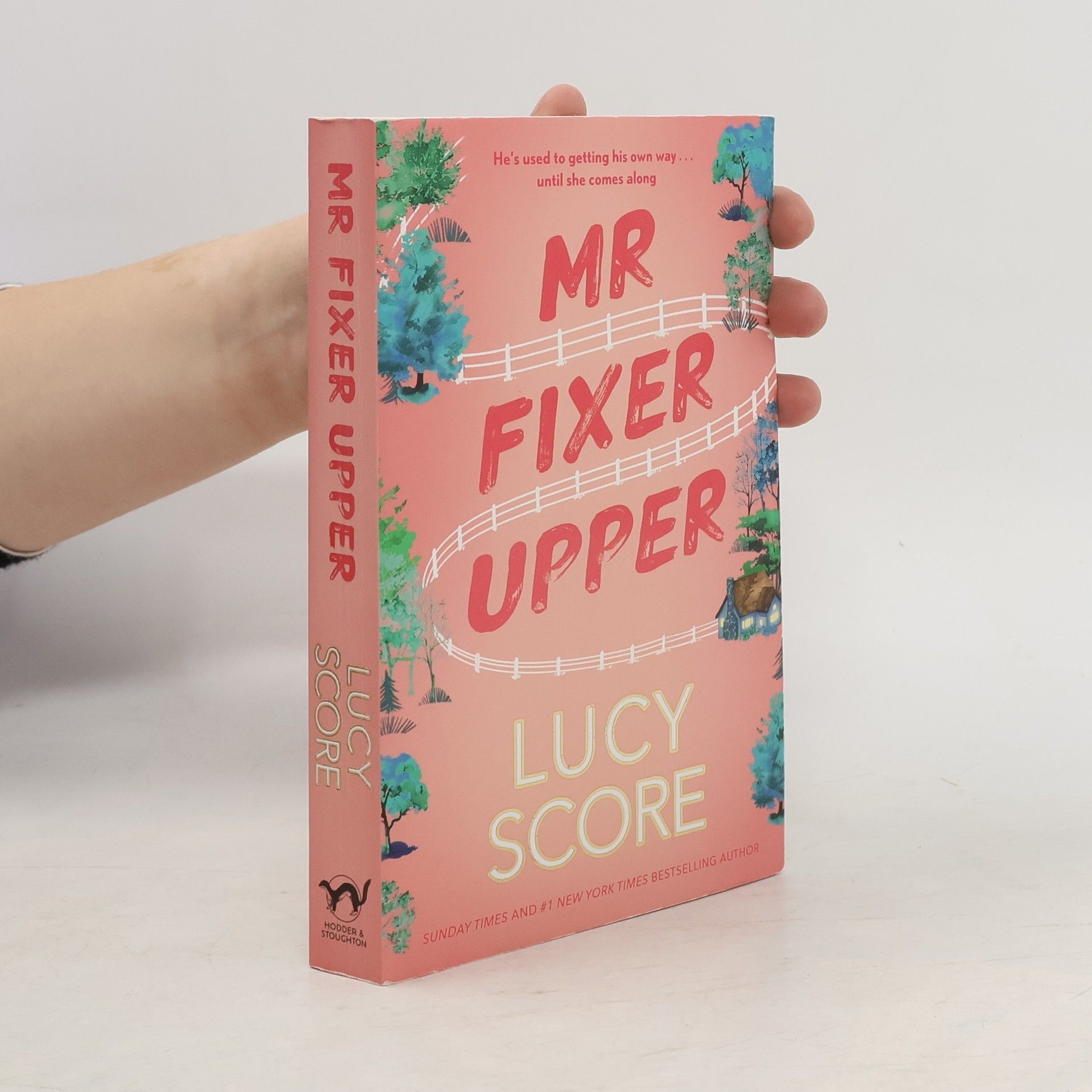 Lucy Score Mr Fixer Upper: the new romance from the bestselling Tiktok sensation!