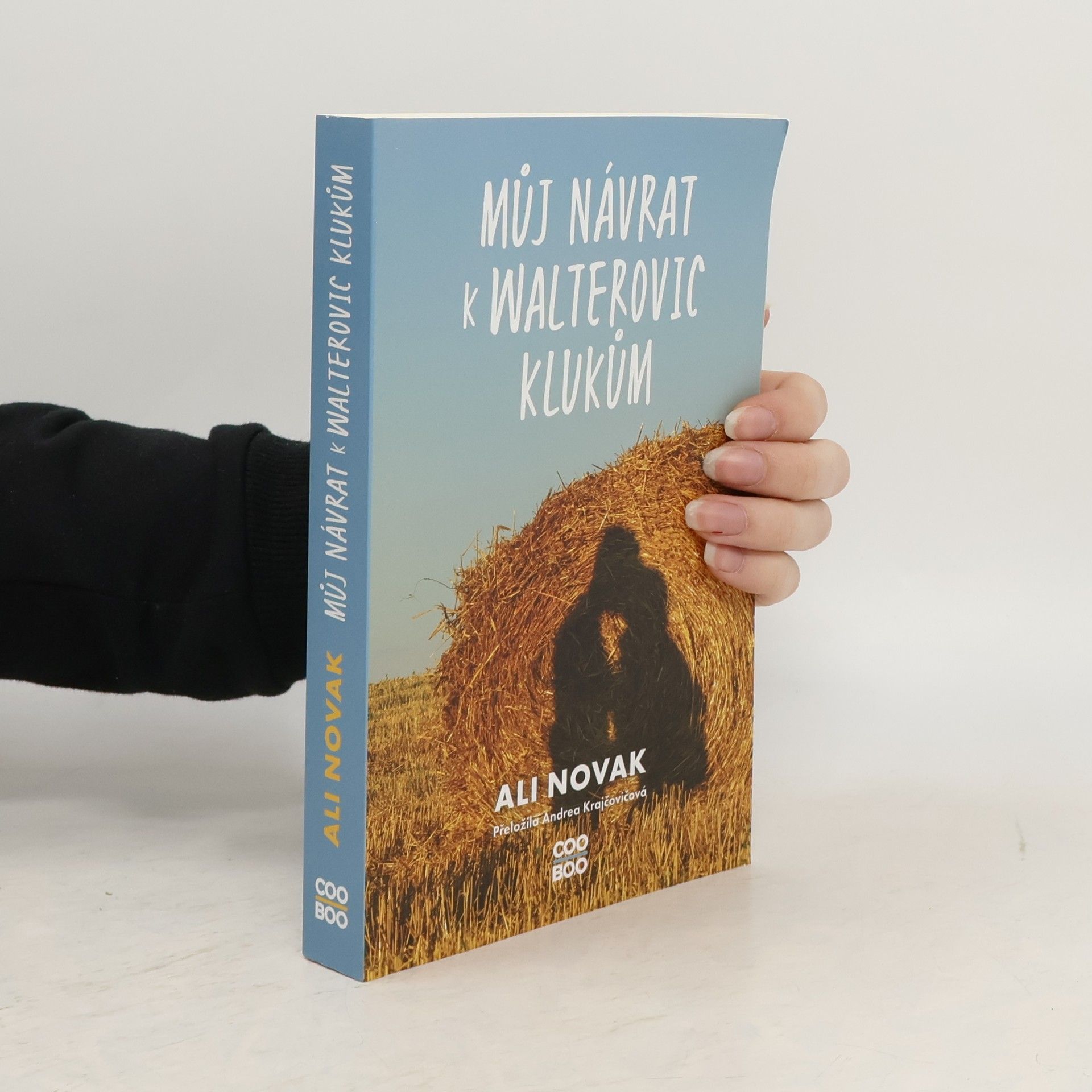 Můj návrat k Walterovic klukům