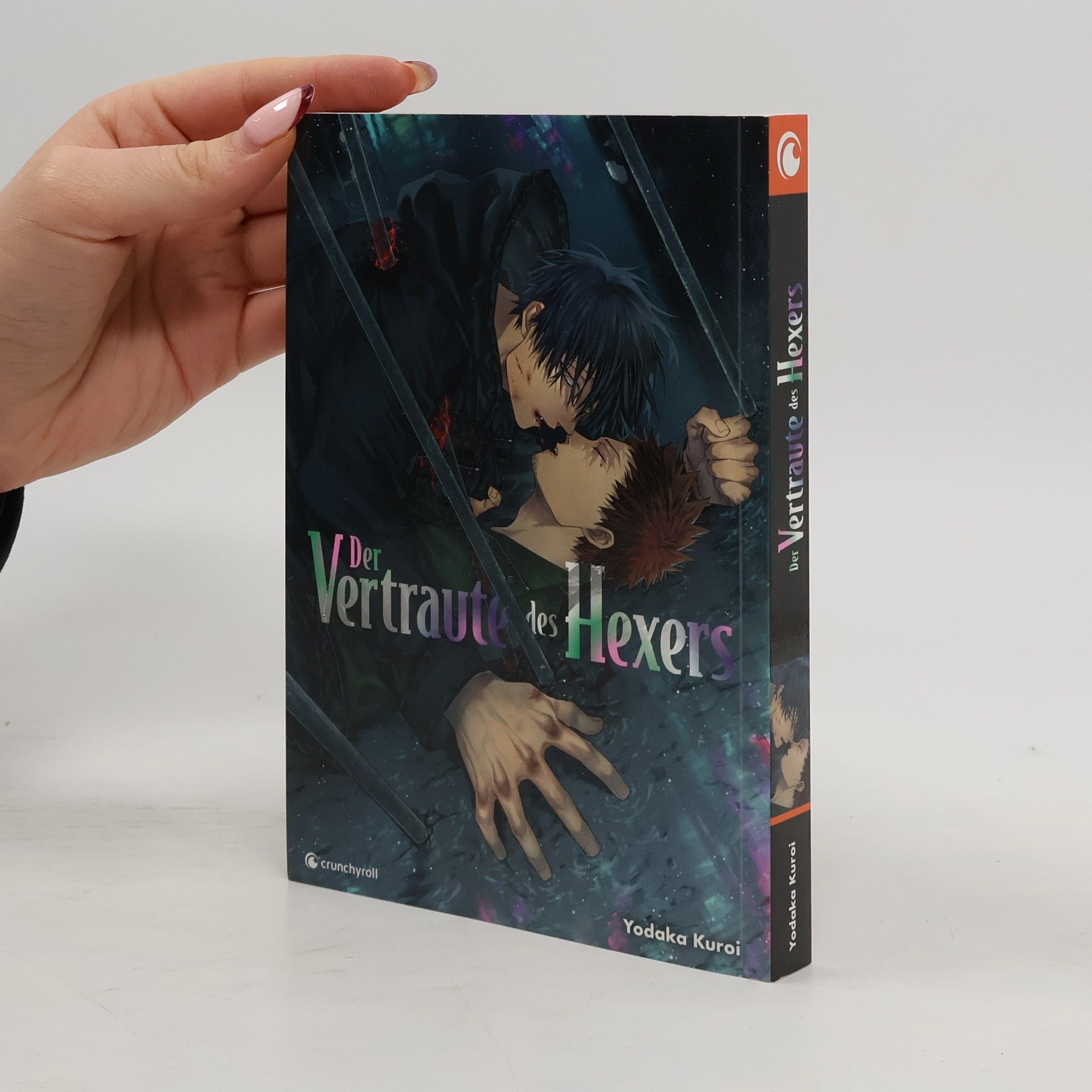 Der Vertraute des Hexers