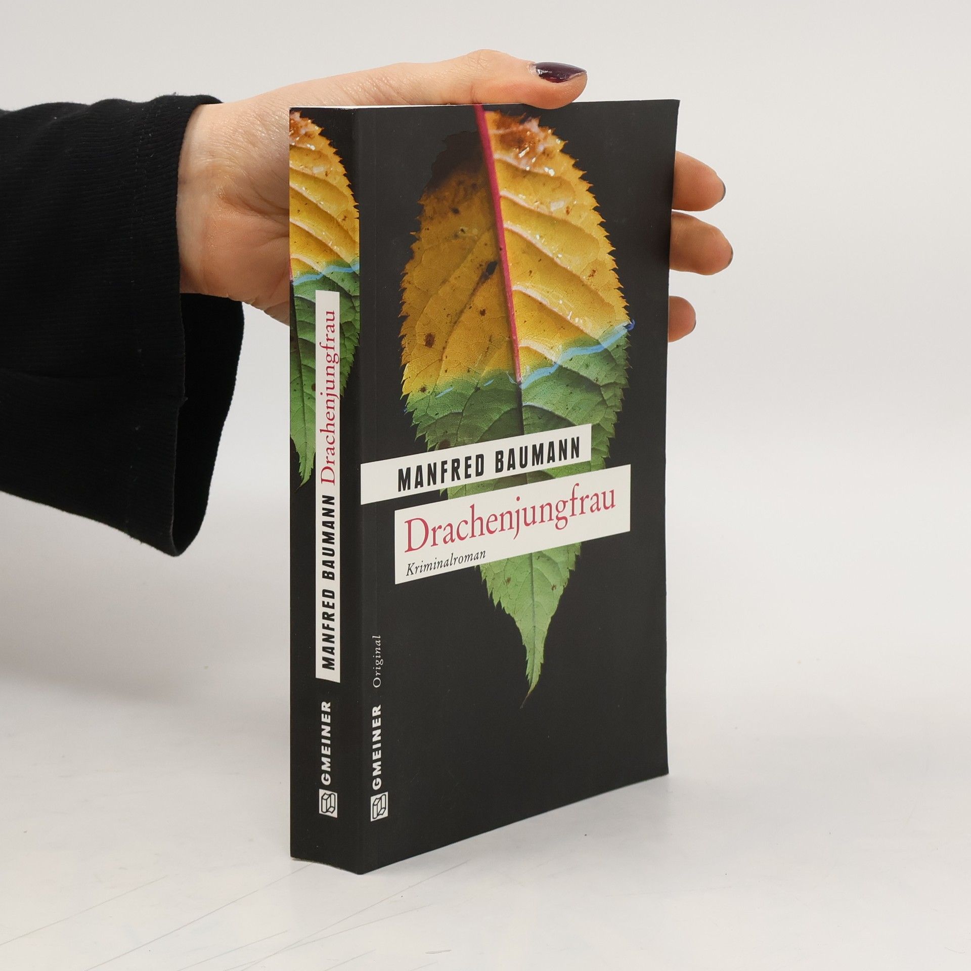 Manfred Baumann Drachenjungfrau