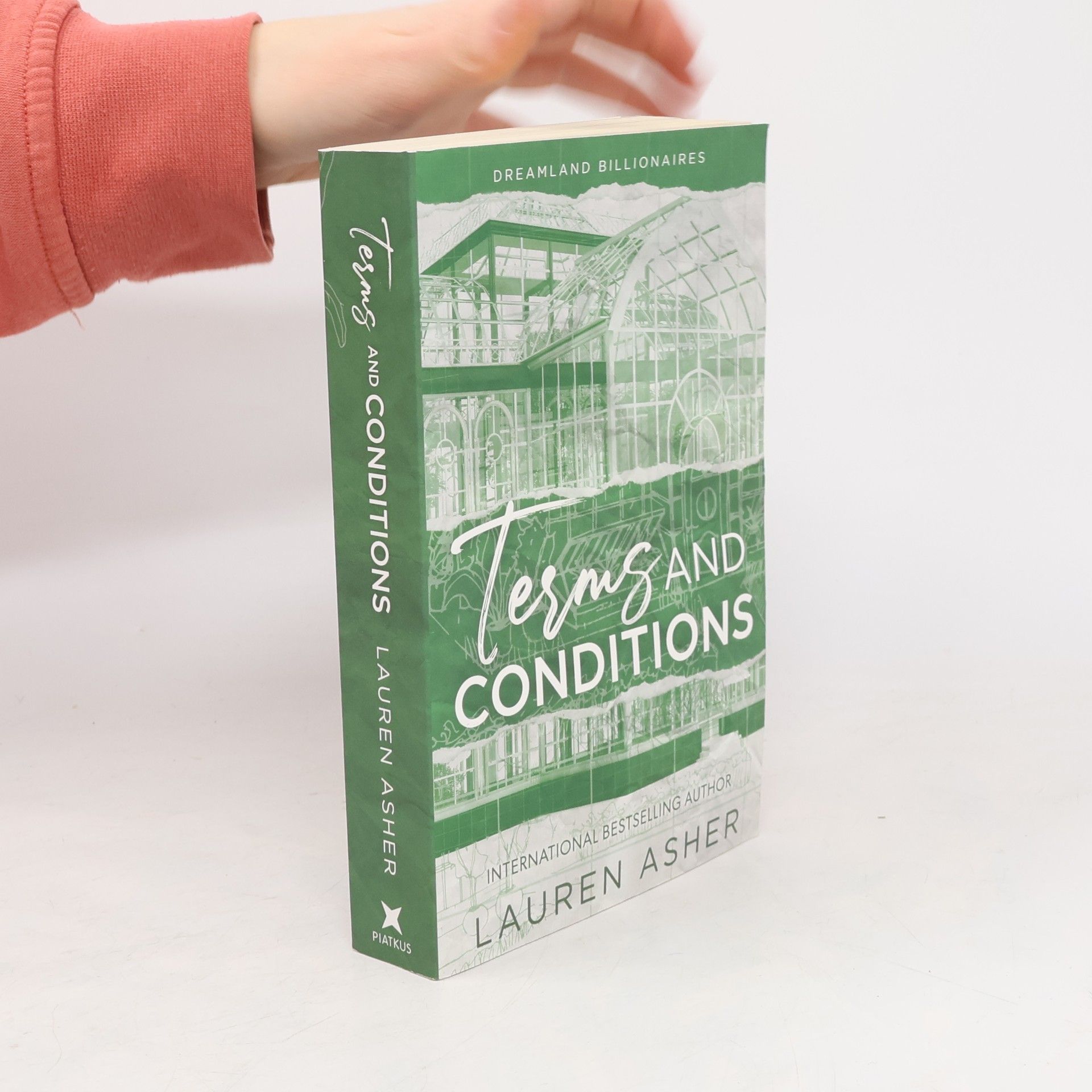 Dreamland billionaires. Terms and conditions